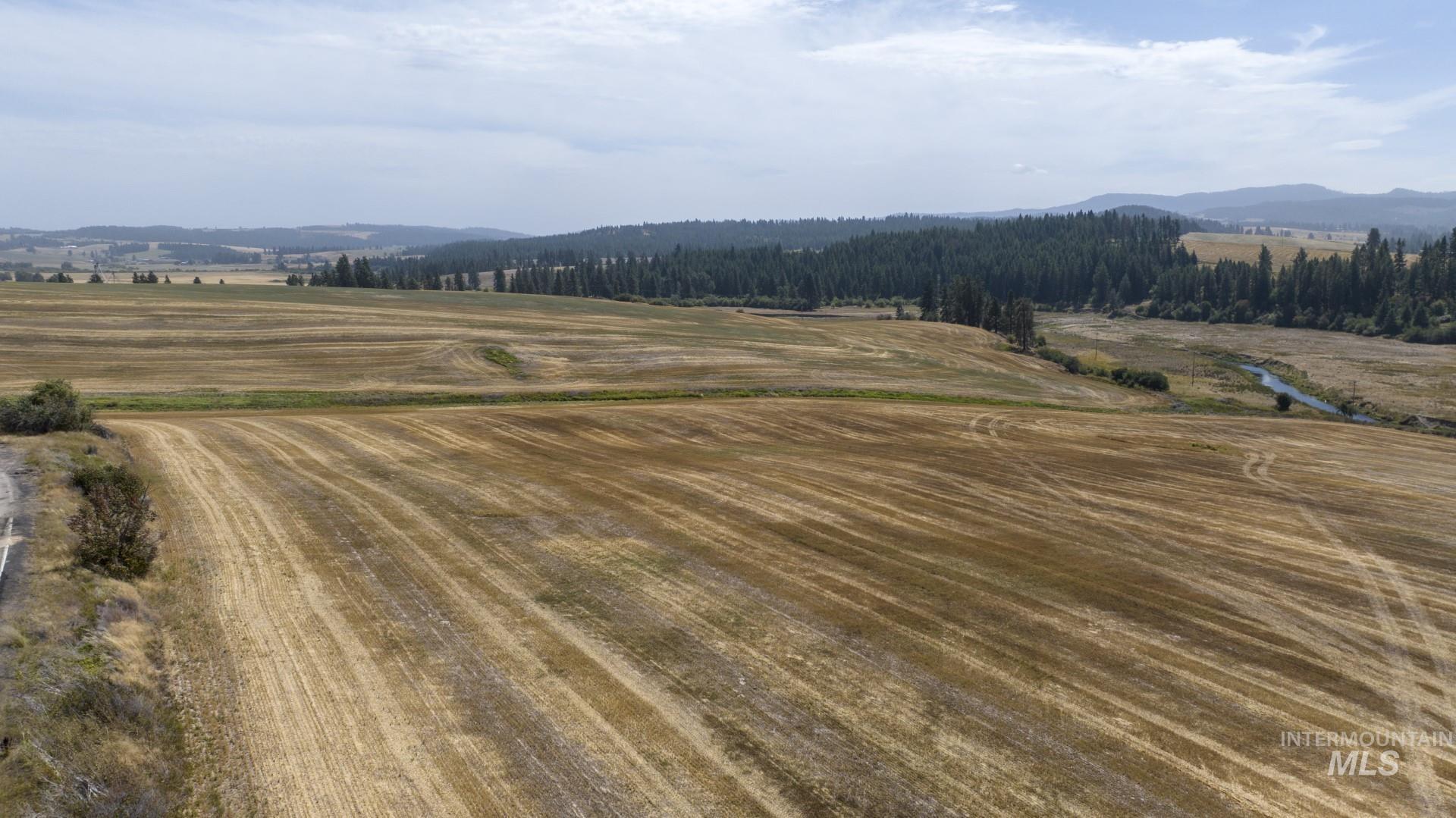 TBD Garnet Lane, 11.67 +/- AC, Potlatch, Idaho 83855, Land For Sale, Price $249,500, 98986015