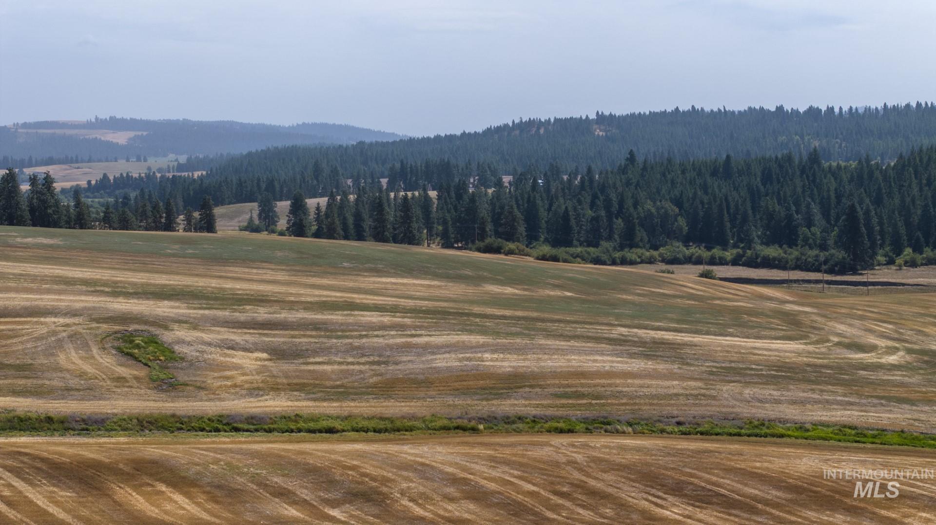 TBD Garnet Lane, 11.67 +/- AC, Potlatch, Idaho 83855, Land For Sale, Price $249,500, 98986015