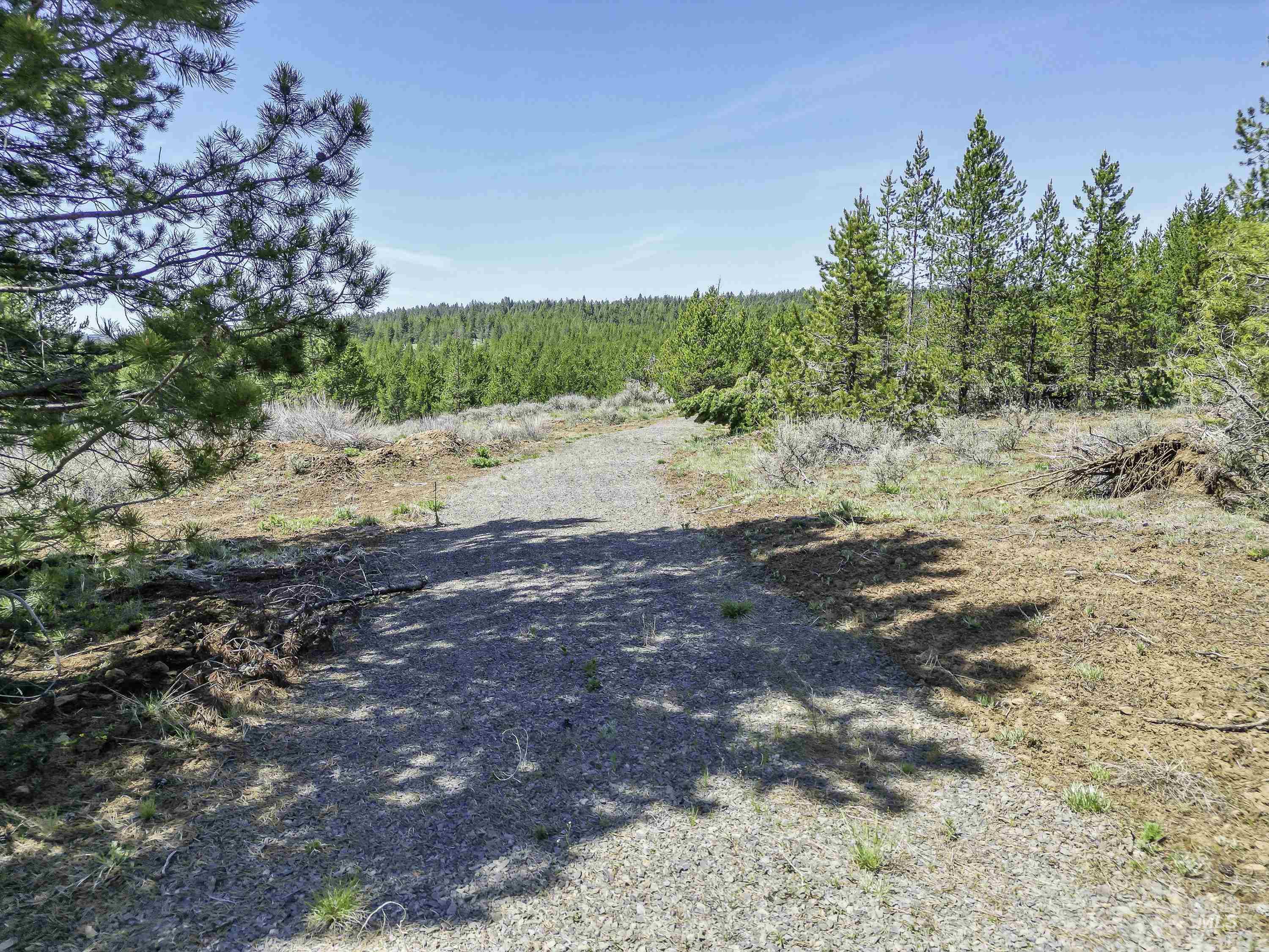TBD Deer Creek, Winchester, Idaho 83555, Land For Sale, Price $105,000, 98986025