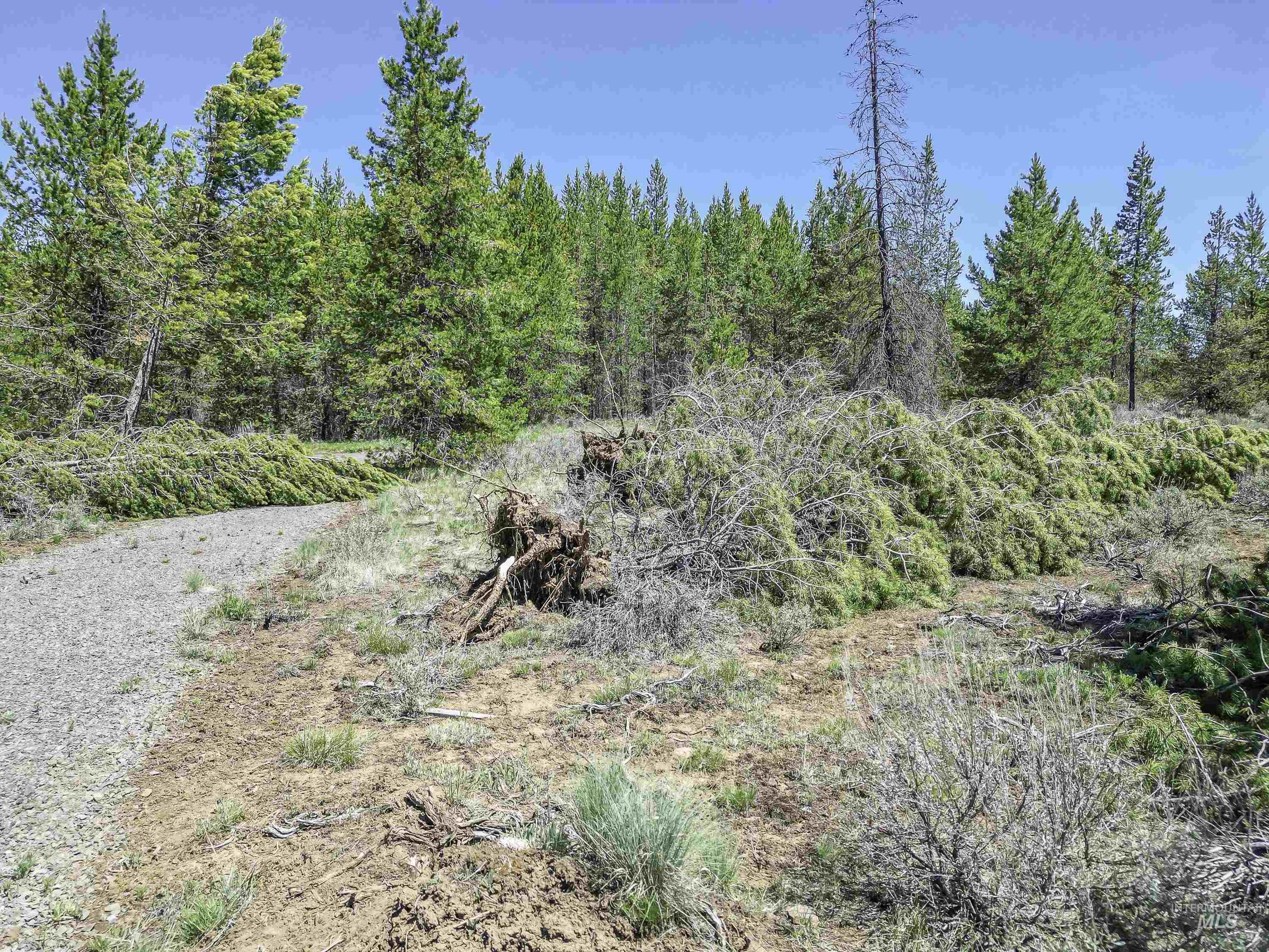 TBD Deer Creek, Winchester, Idaho 83555, Land For Sale, Price $105,000, 98986025