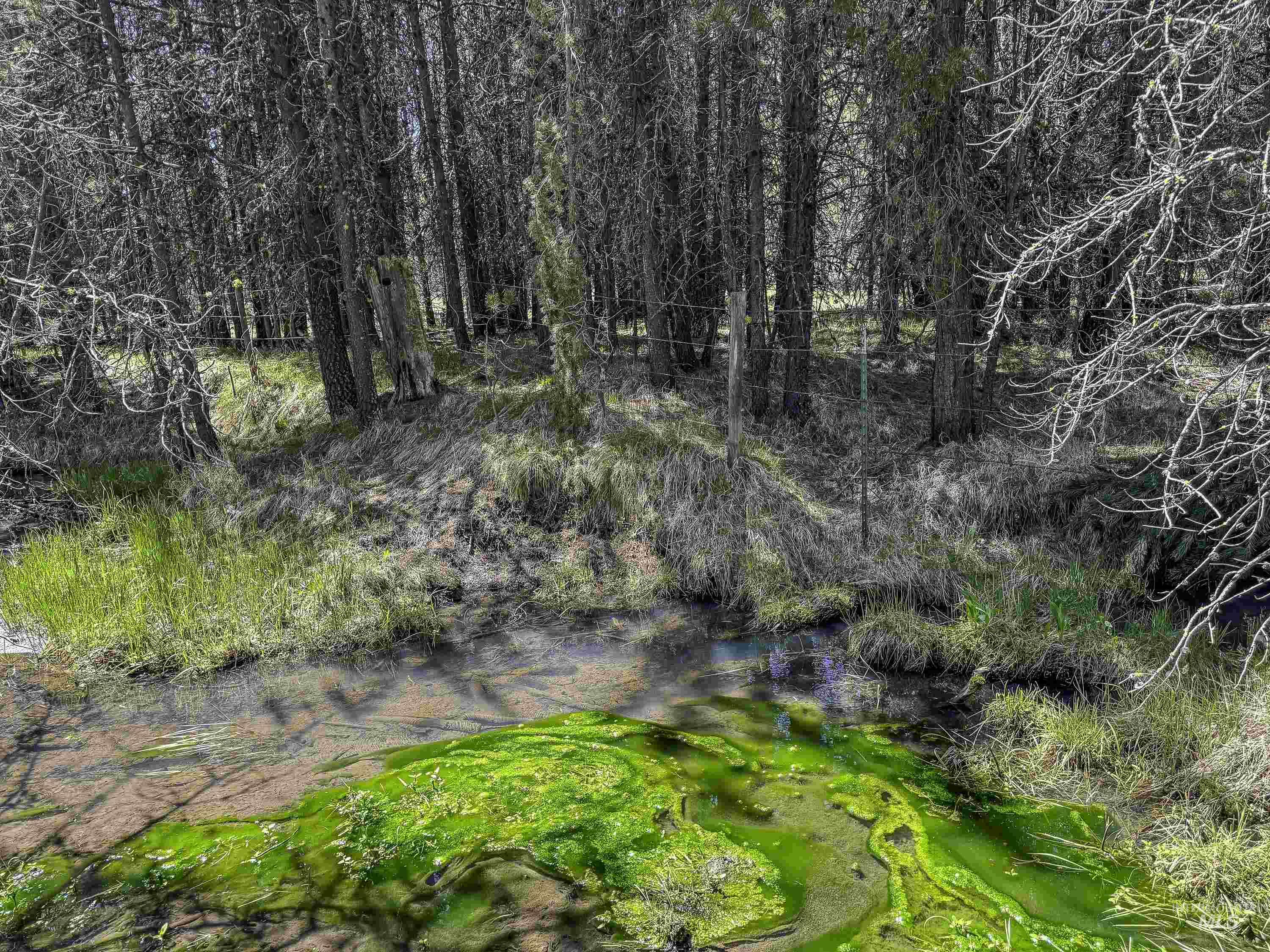 TBD Deer Creek, Winchester, Idaho 83555, Land For Sale, Price $105,000, 98986025