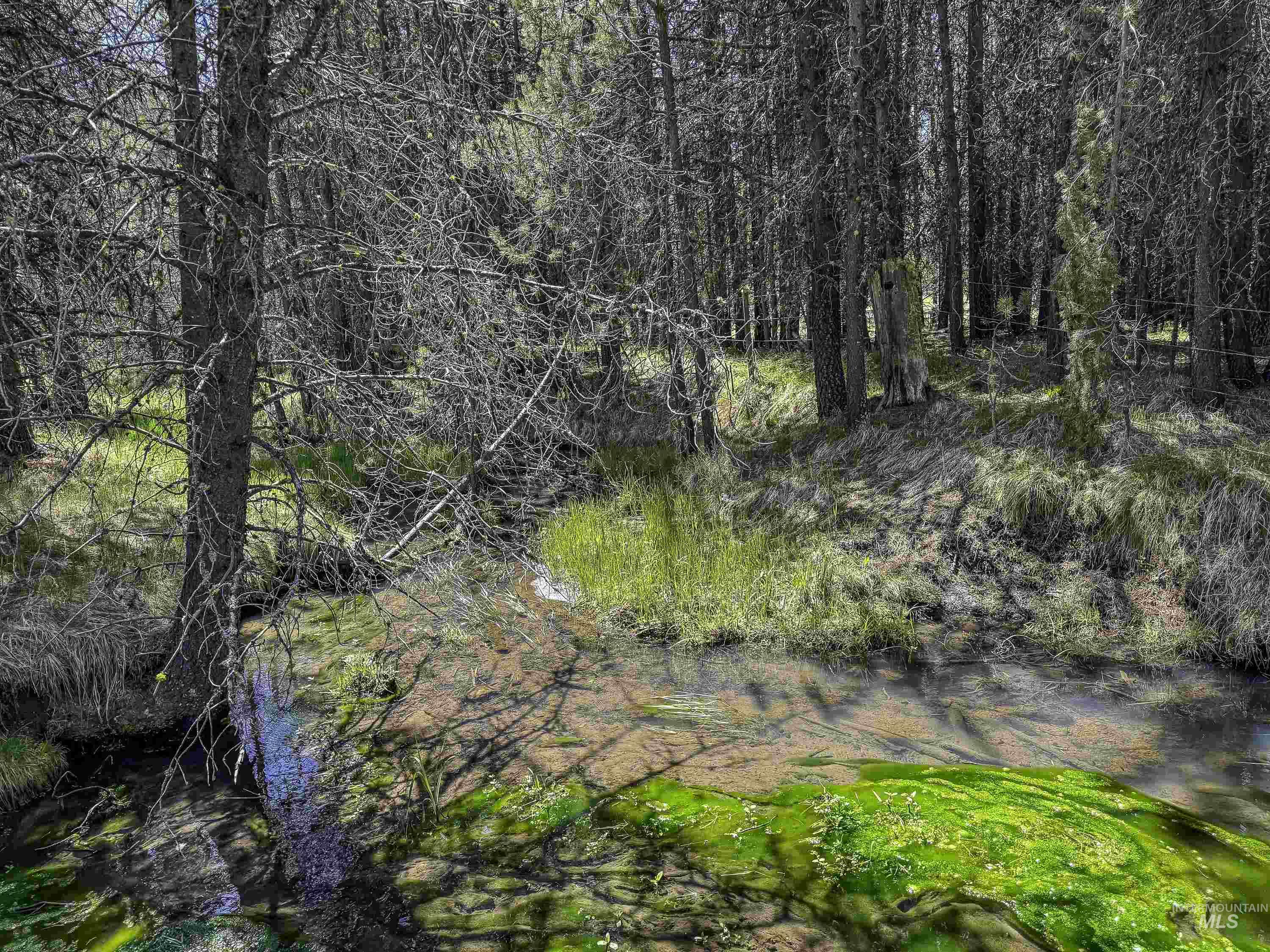 TBD Deer Creek, Winchester, Idaho 83555, Land For Sale, Price $105,000, 98986025