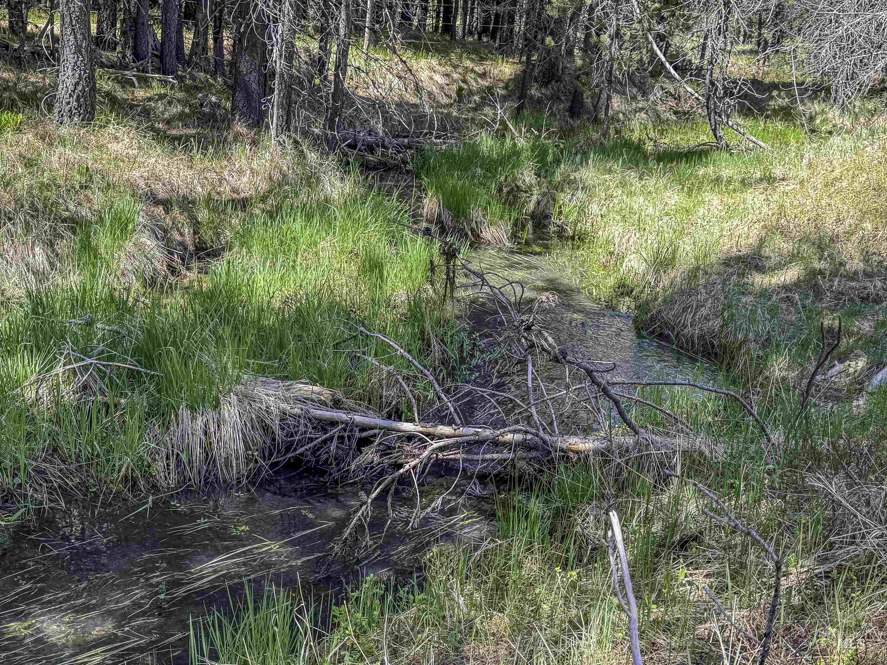TBD Deer Creek, Winchester, Idaho 83555, Land For Sale, Price $105,000, 98986025