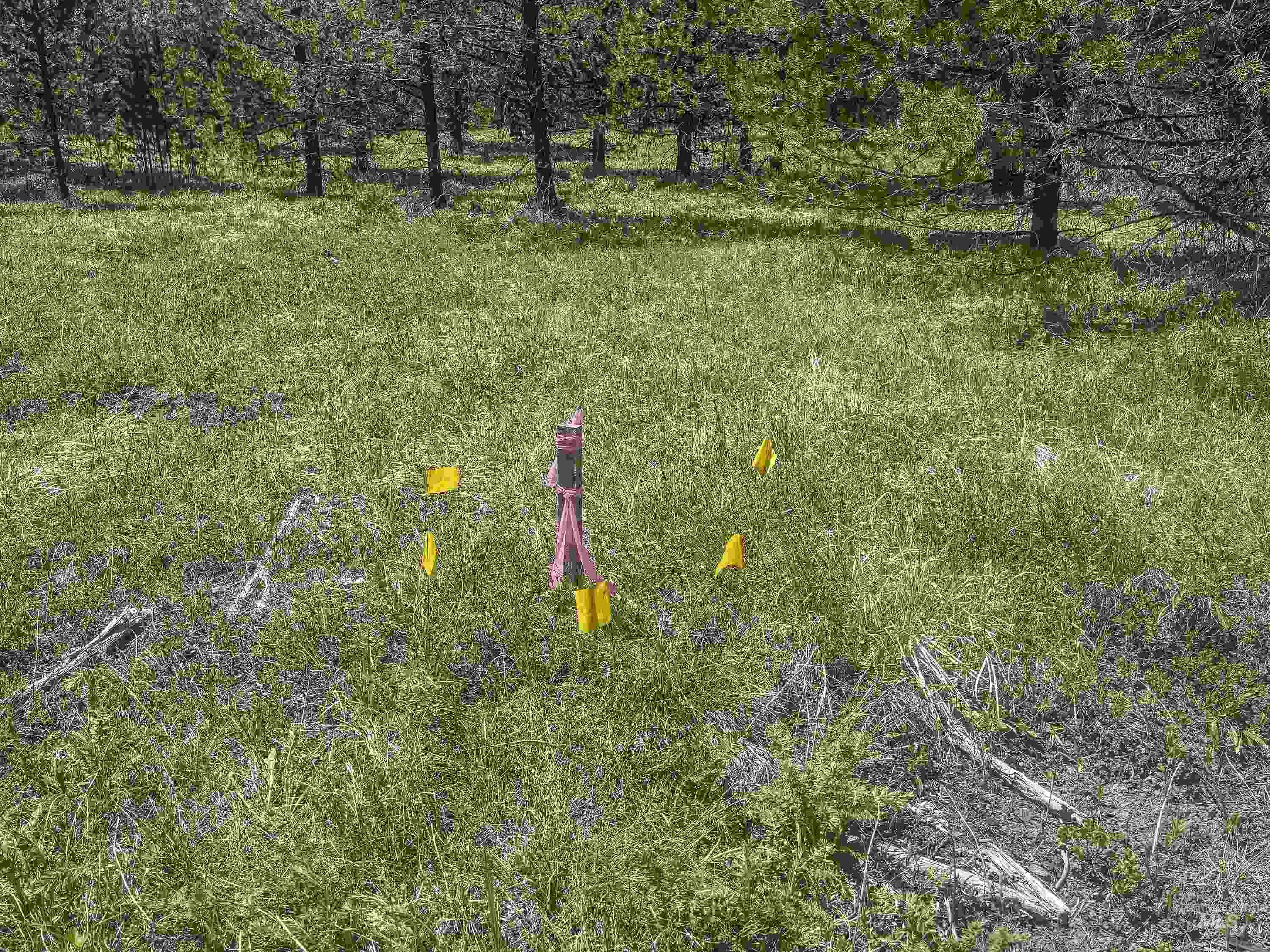 TBD Deer Creek, Winchester, Idaho 83555, Land For Sale, Price $105,000, 98986025