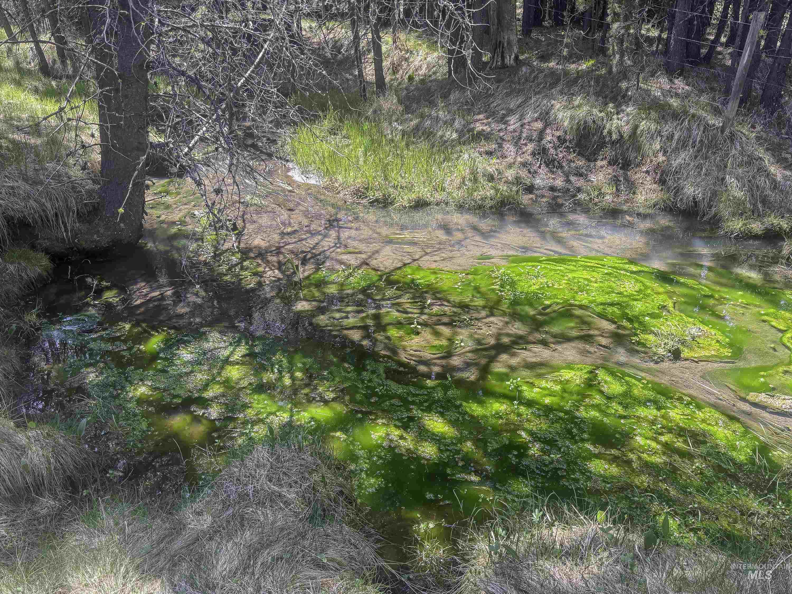 TBD Deer Creek, Winchester, Idaho 83555, Land For Sale, Price $105,000, 98986025