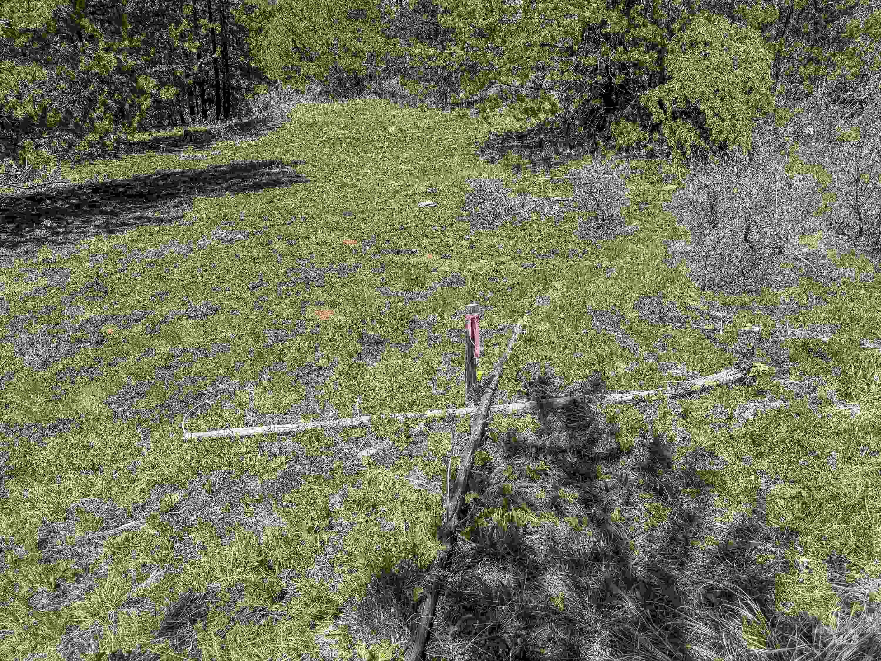 TBD Deer Creek, Winchester, Idaho 83555, Land For Sale, Price $105,000, 98986025