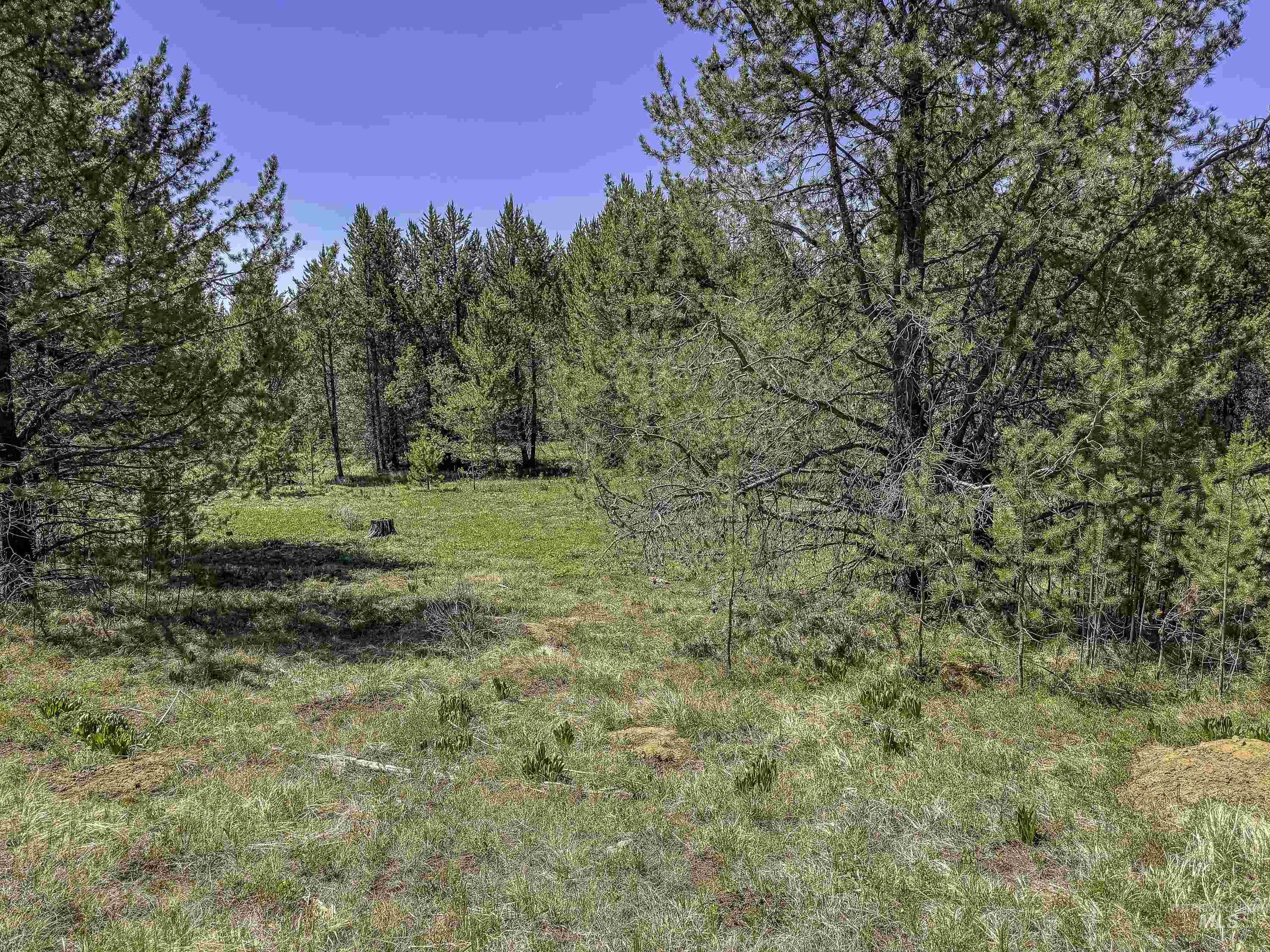 TBD Deer Creek, Winchester, Idaho 83555, Land For Sale, Price $105,000, 98986025