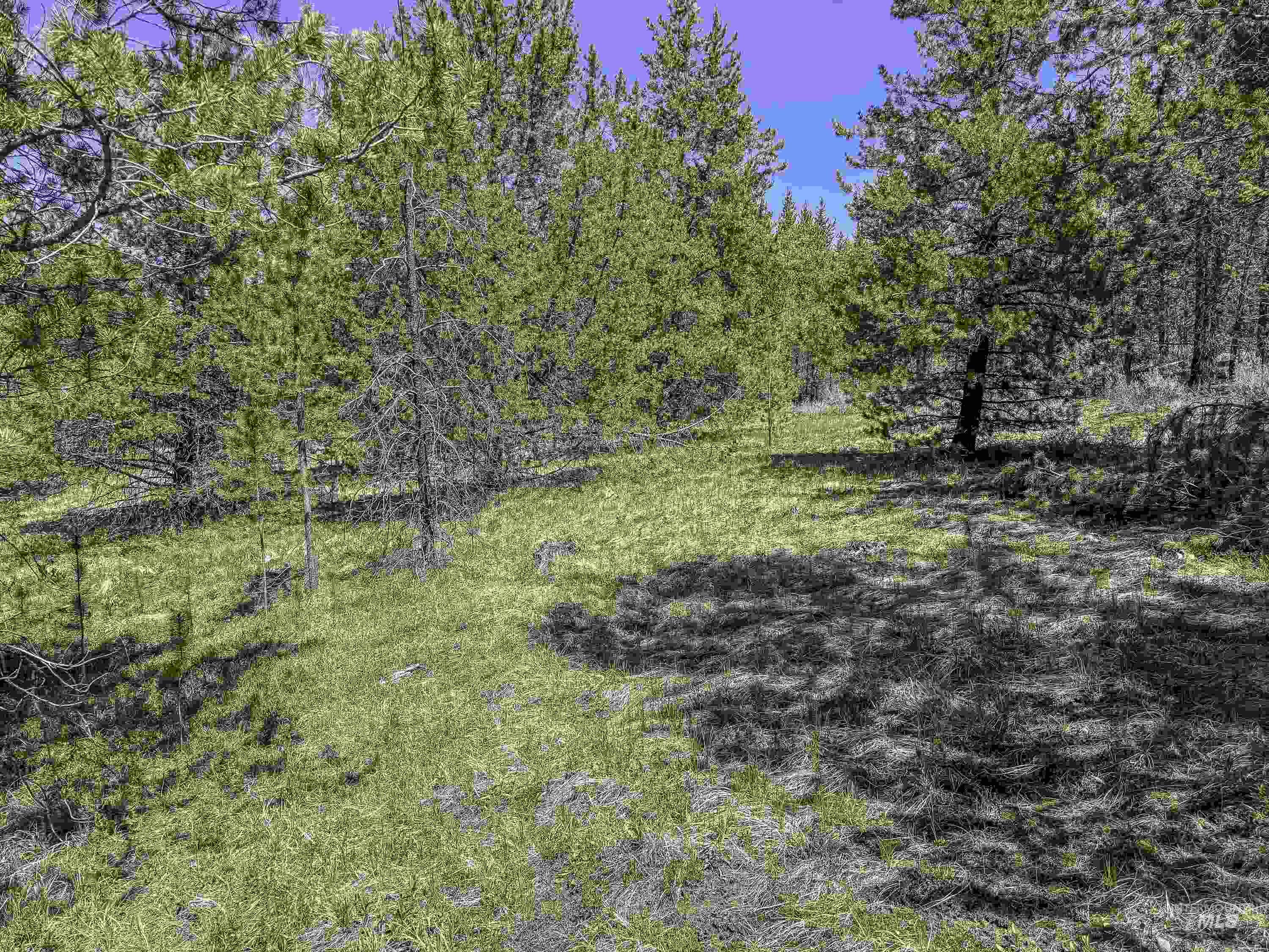 TBD Deer Creek, Winchester, Idaho 83555, Land For Sale, Price $105,000, 98986025