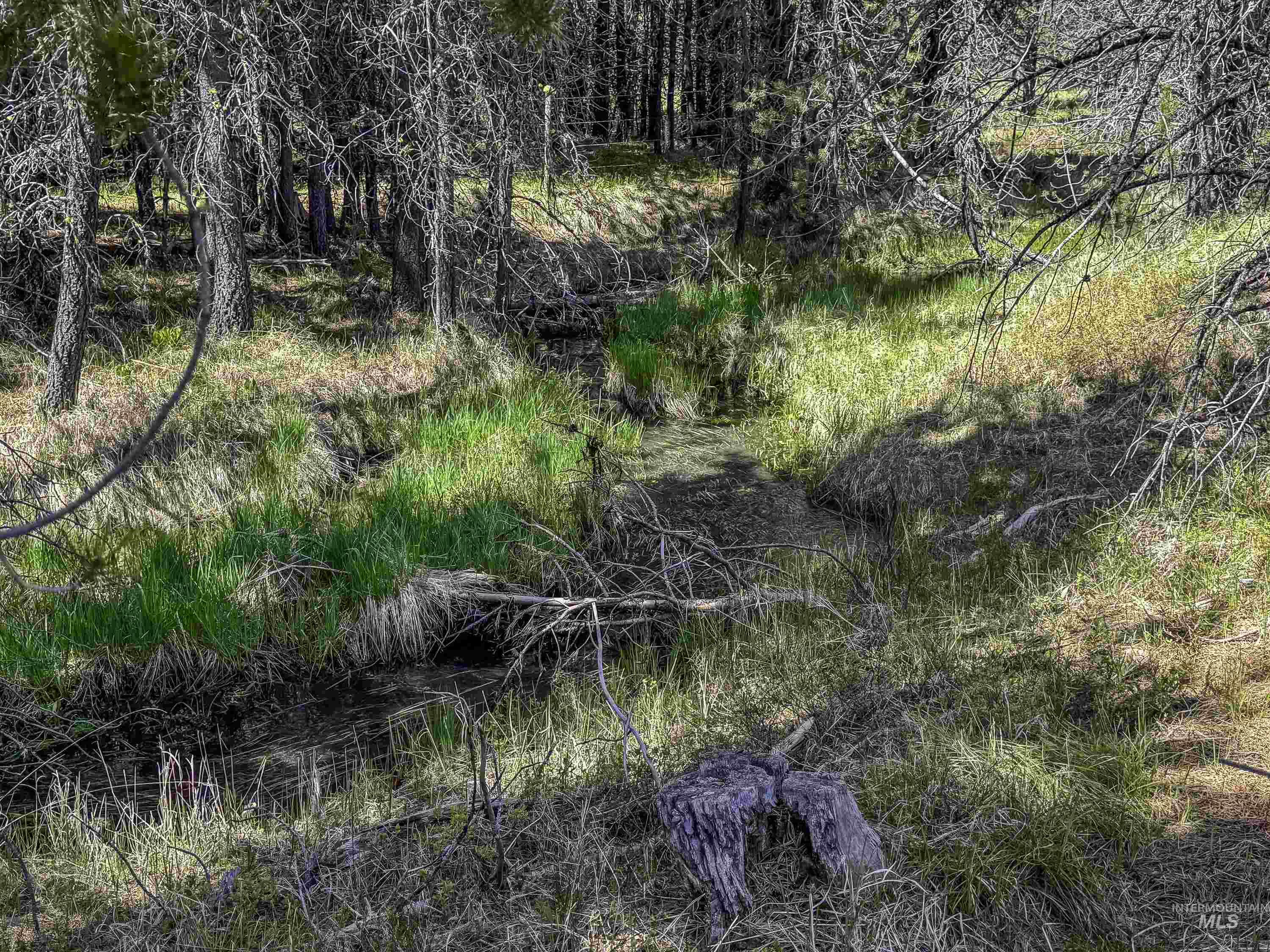 TBD Deer Creek, Winchester, Idaho 83555, Land For Sale, Price $105,000, 98986025