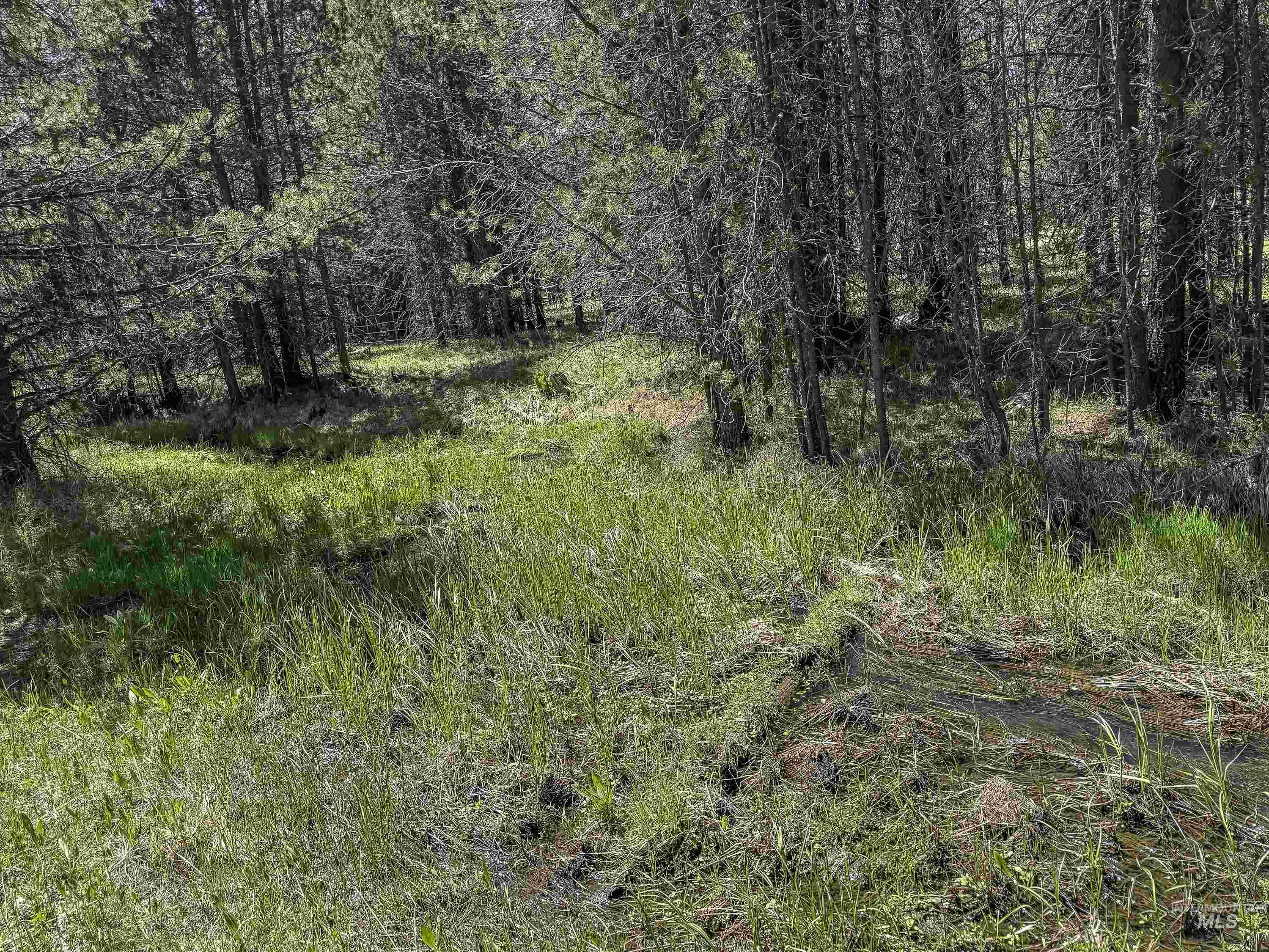 TBD Deer Creek, Winchester, Idaho 83555, Land For Sale, Price $105,000, 98986025