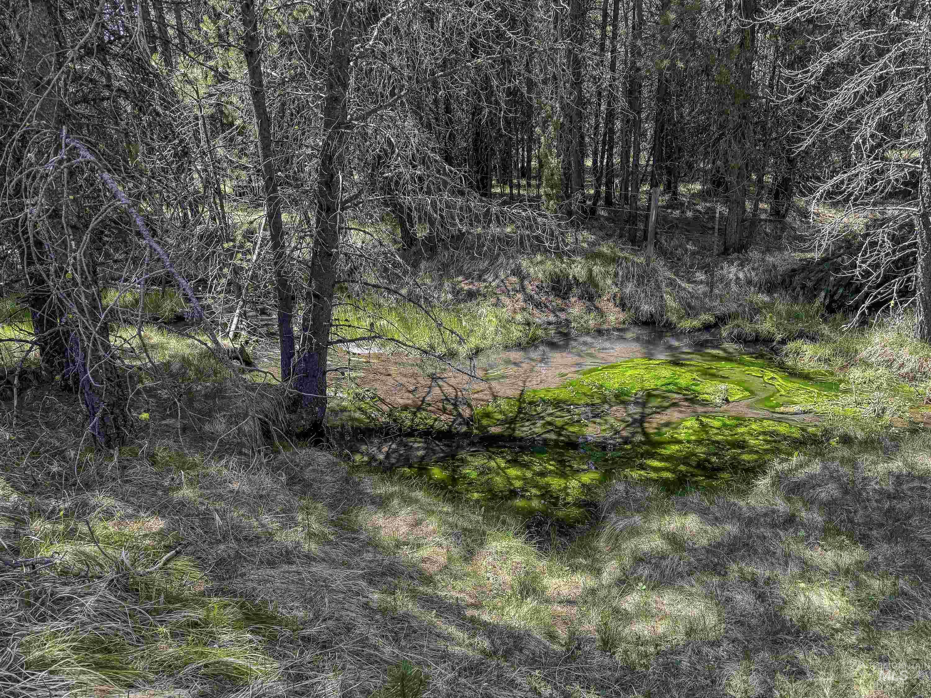 TBD Deer Creek, Winchester, Idaho 83555, Land For Sale, Price $105,000, 98986025