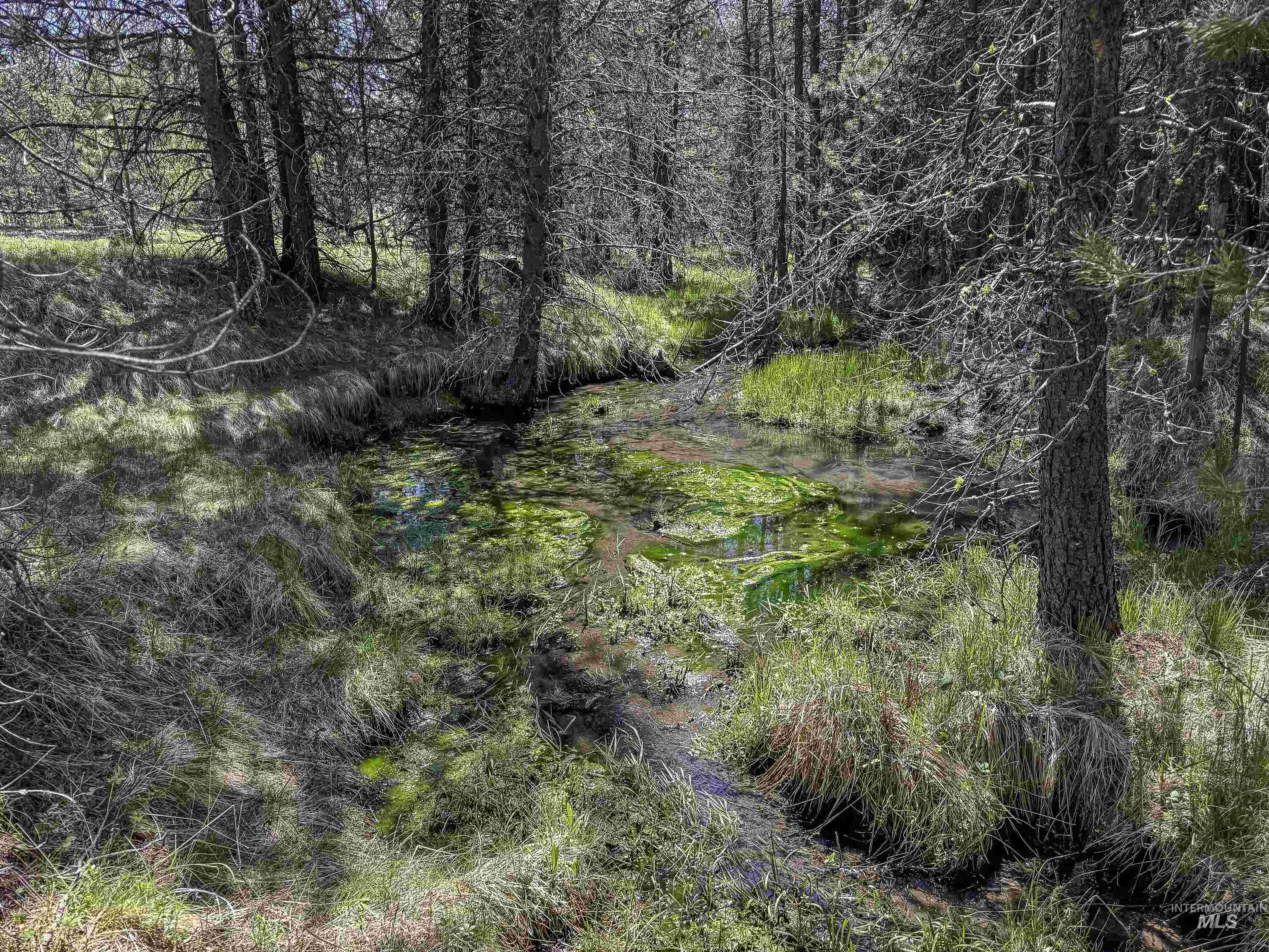 TBD Deer Creek, Winchester, Idaho 83555, Land For Sale, Price $105,000, 98986025