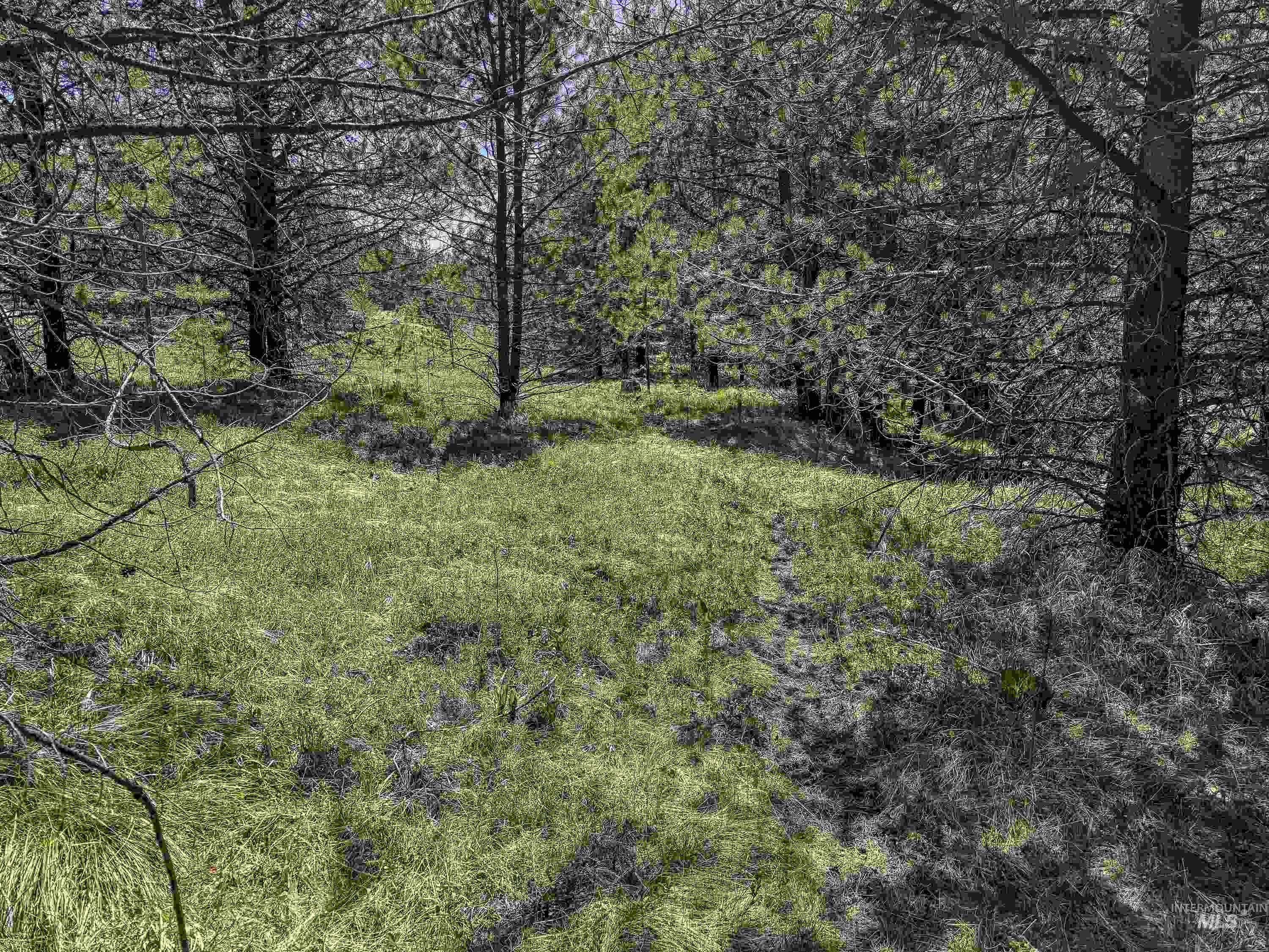 TBD Deer Creek, Winchester, Idaho 83555, Land For Sale, Price $105,000, 98986025
