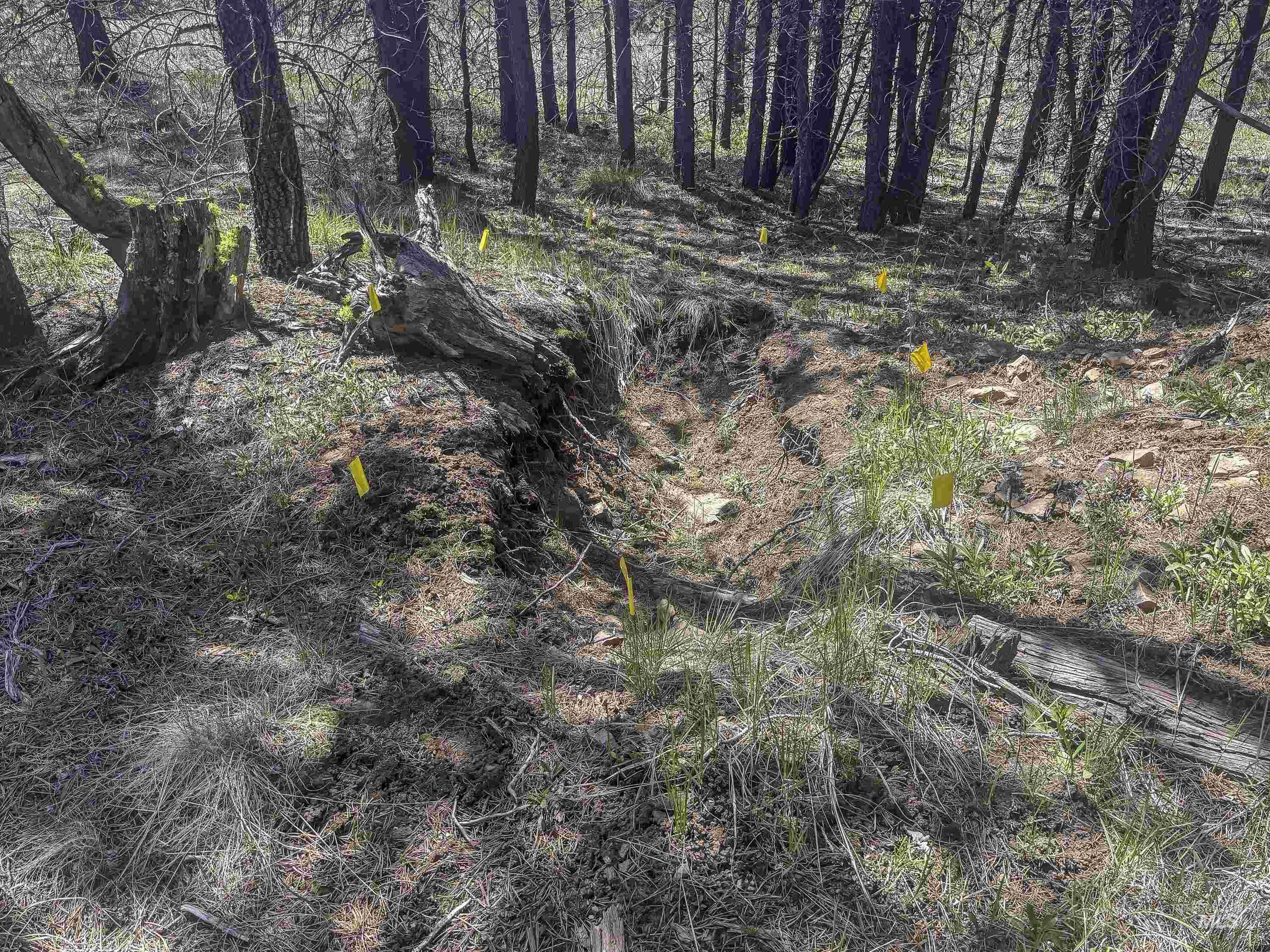 TBD Deer Creek, Winchester, Idaho 83555, Land For Sale, Price $105,000, 98986025