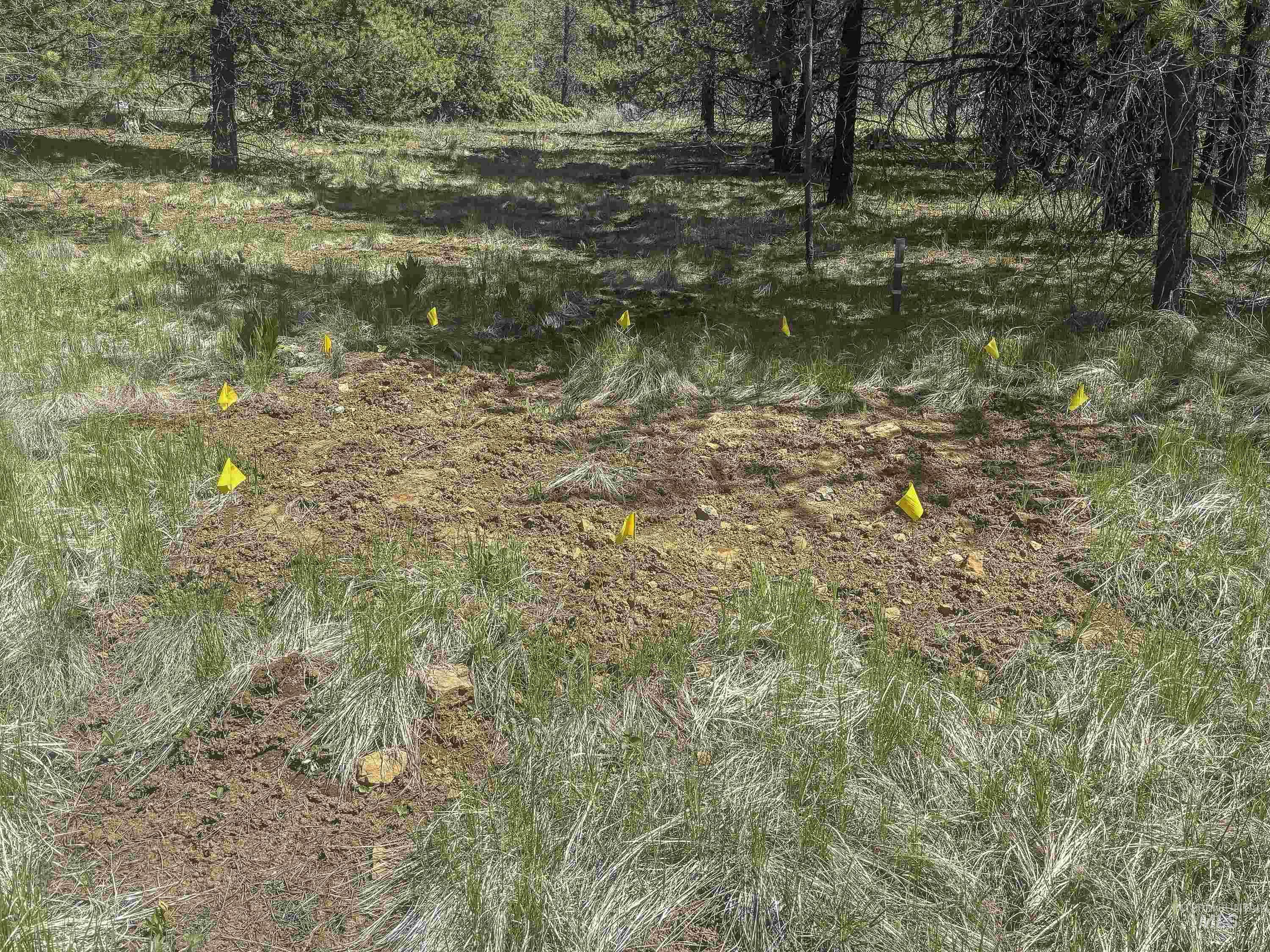 TBD Deer Creek, Winchester, Idaho 83555, Land For Sale, Price $105,000, 98986025