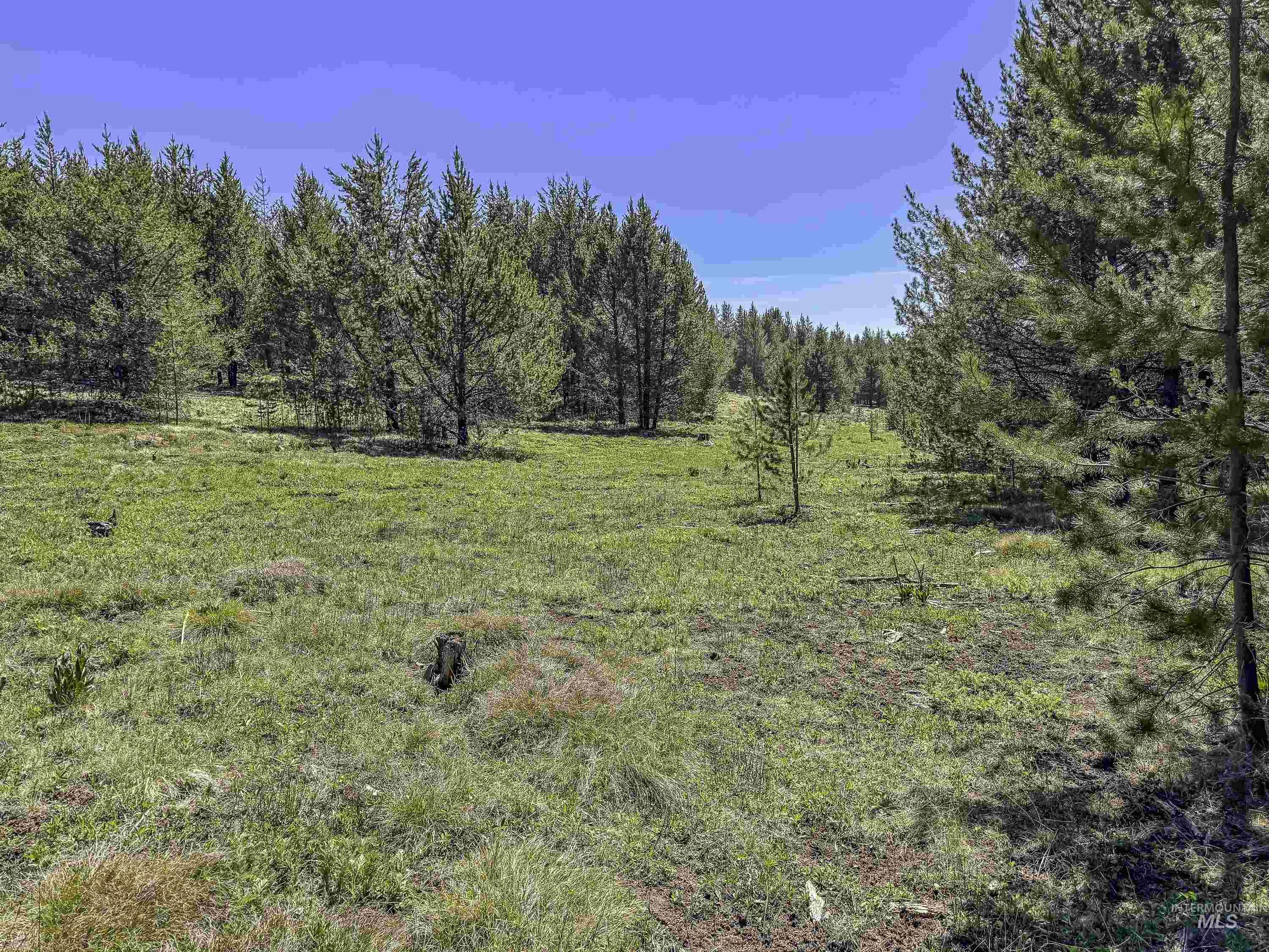 TBD Deer Creek, Winchester, Idaho 83555, Land For Sale, Price $105,000, 98986025