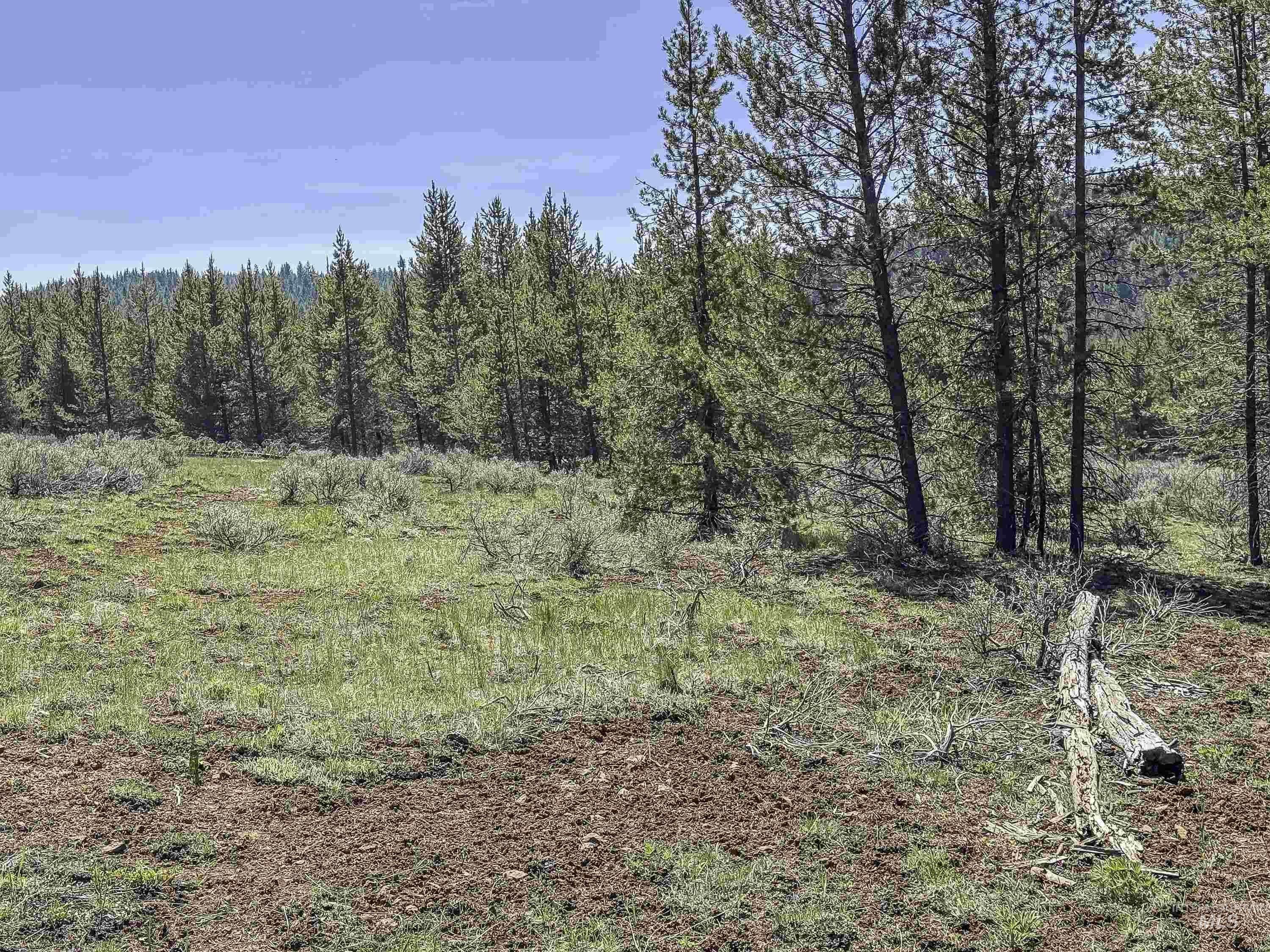 TBD Deer Creek, Winchester, Idaho 83555, Land For Sale, Price $105,000, 98986025