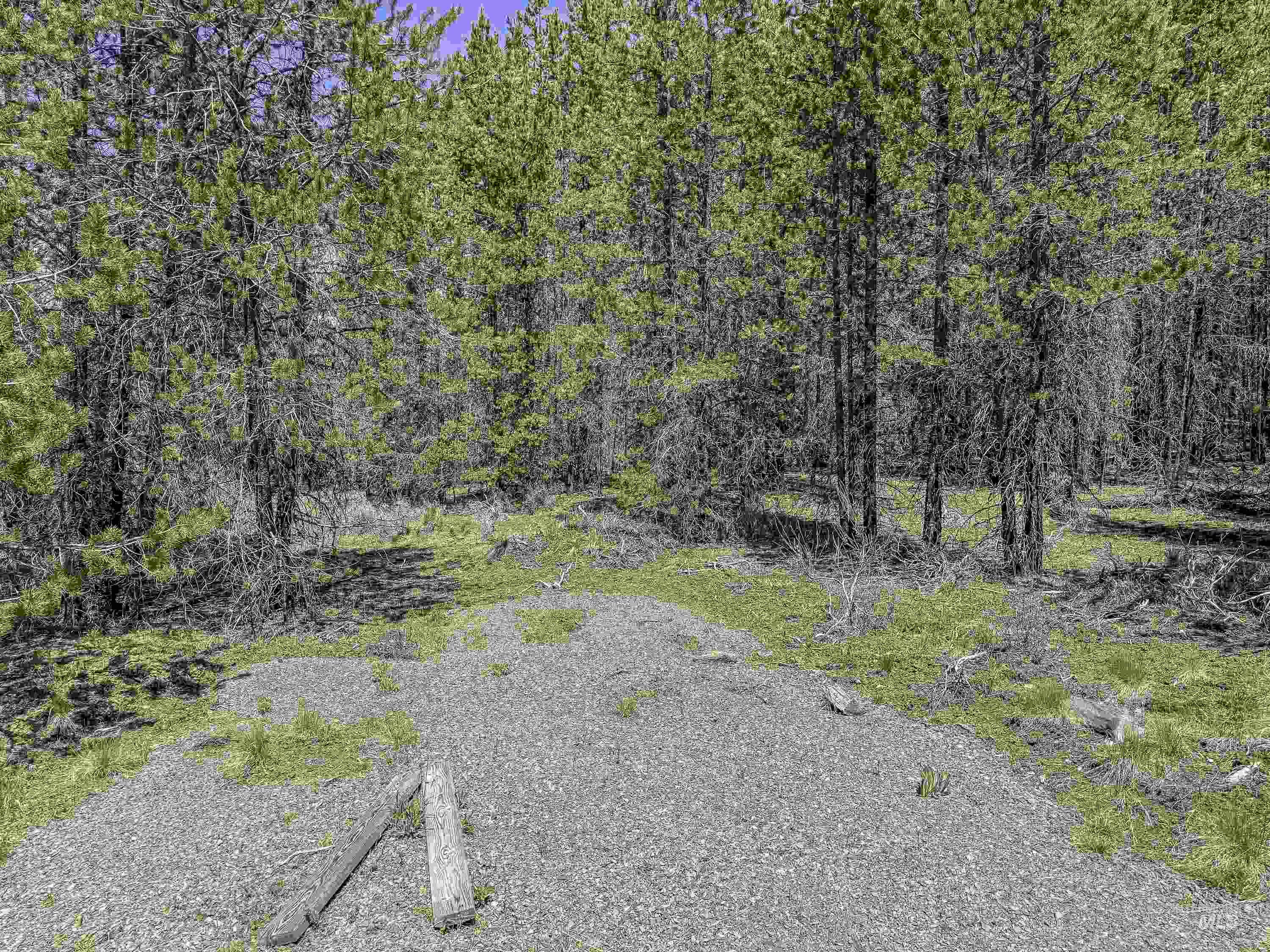 TBD Deer Creek, Winchester, Idaho 83555, Land For Sale, Price $105,000, 98986025