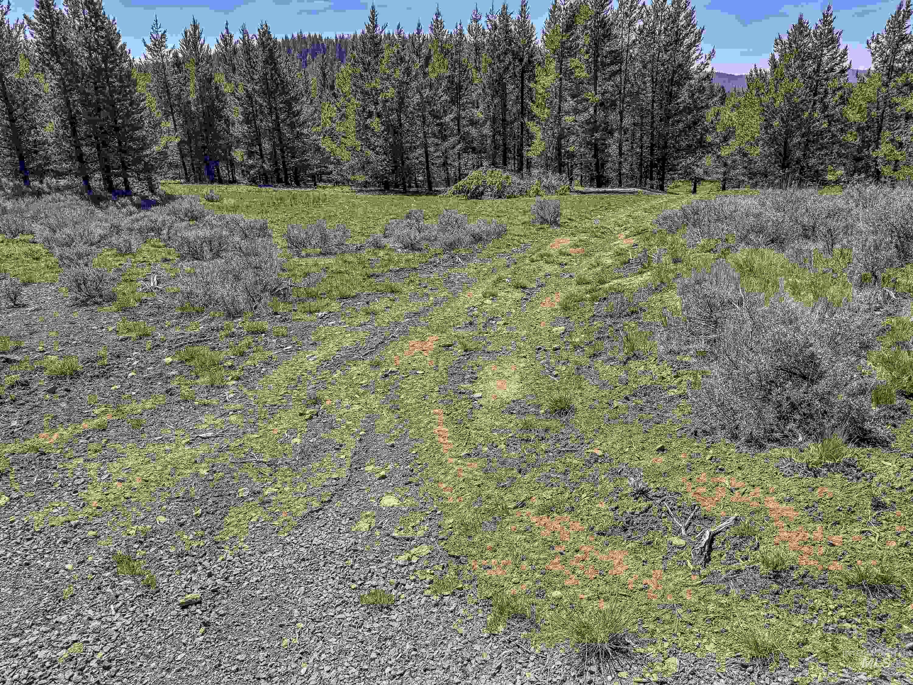 TBD Deer Creek, Winchester, Idaho 83555, Land For Sale, Price $105,000, 98986025