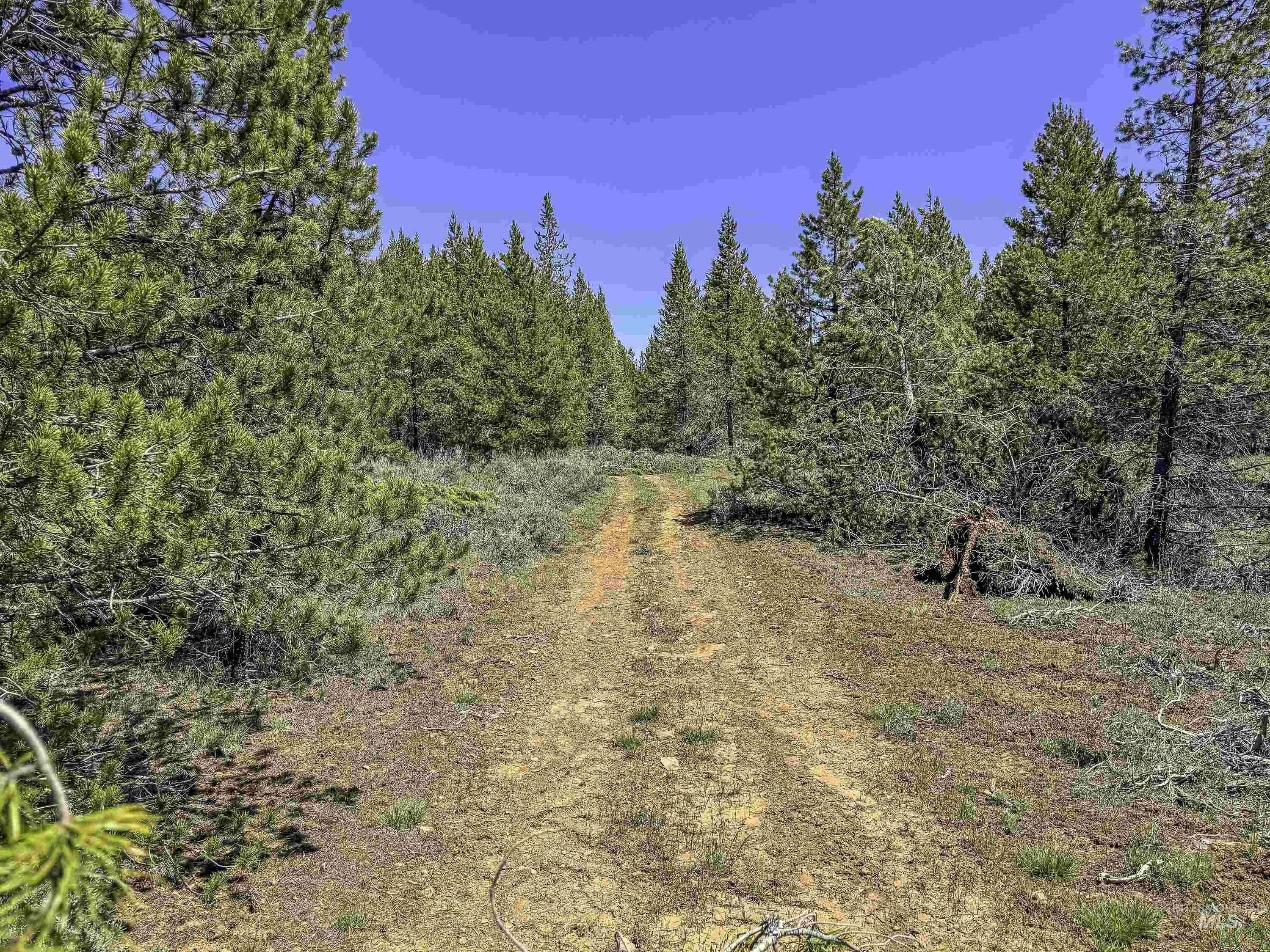 TBD Deer Creek, Winchester, Idaho 83555, Land For Sale, Price $105,000, 98986025