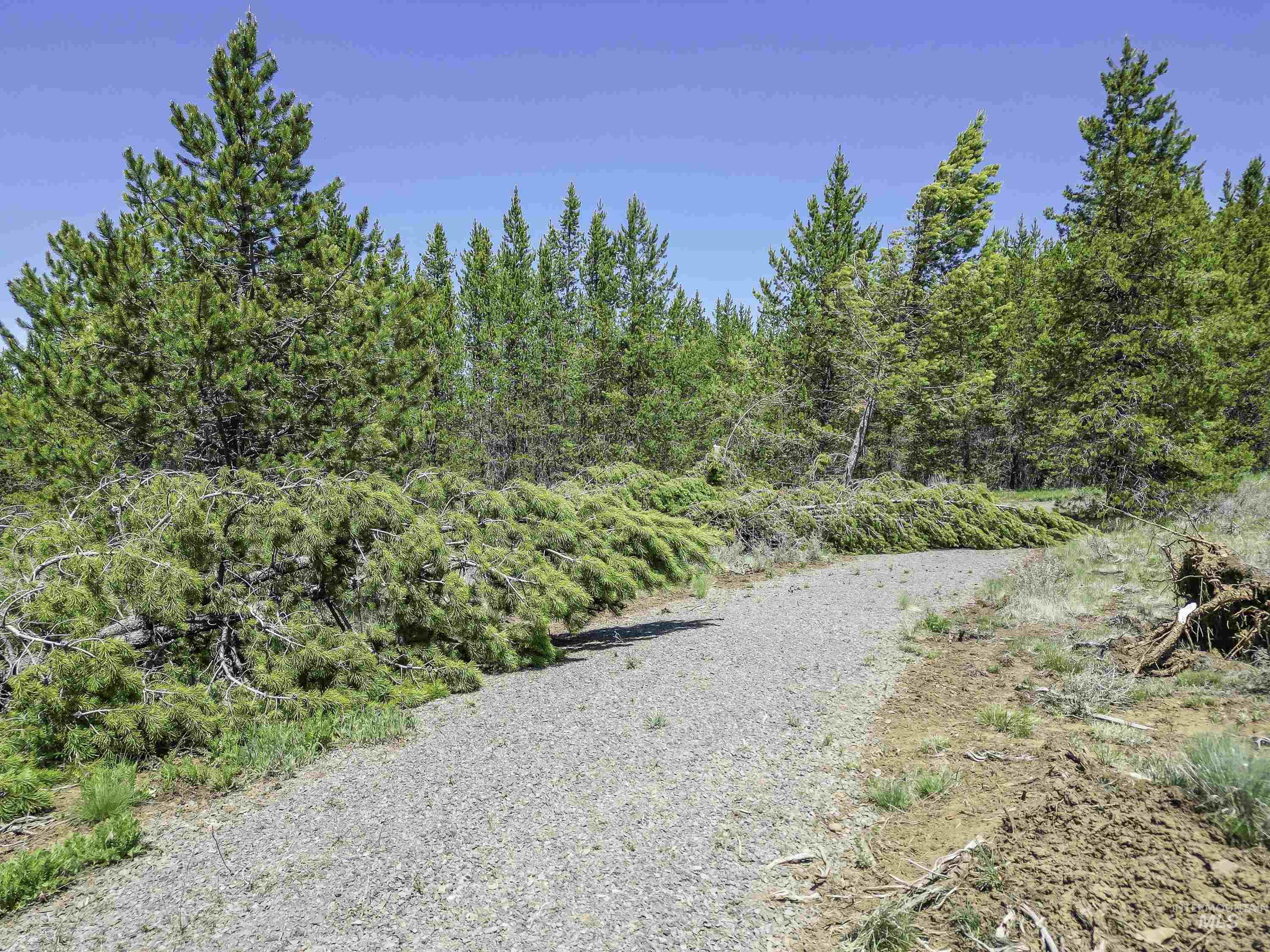 TBD Deer Creek, Winchester, Idaho 83555, Land For Sale, Price $105,000, 98986025