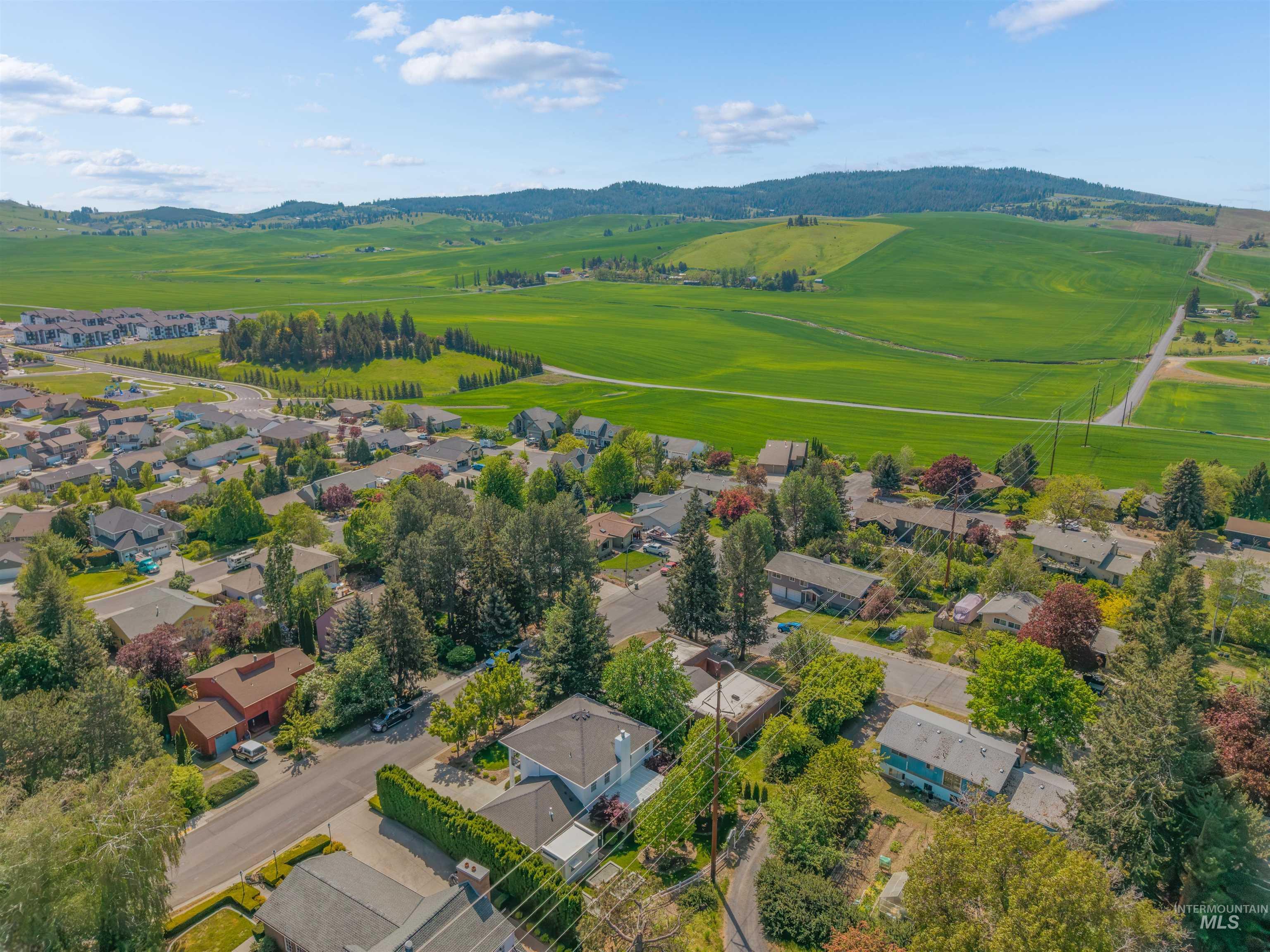 1617 Pine Cone Rd, Moscow, Idaho 83843, 3 Bedrooms, 3 Bathrooms, Residential For Sale, Price $697,000, 98986035