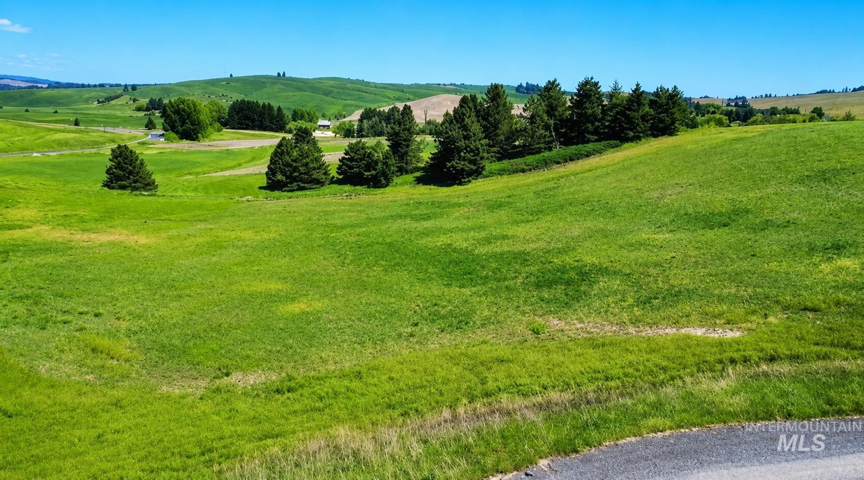 000 Capybara Lane, Moscow, Idaho 83843, Land For Sale, Price $364,000, 98986048