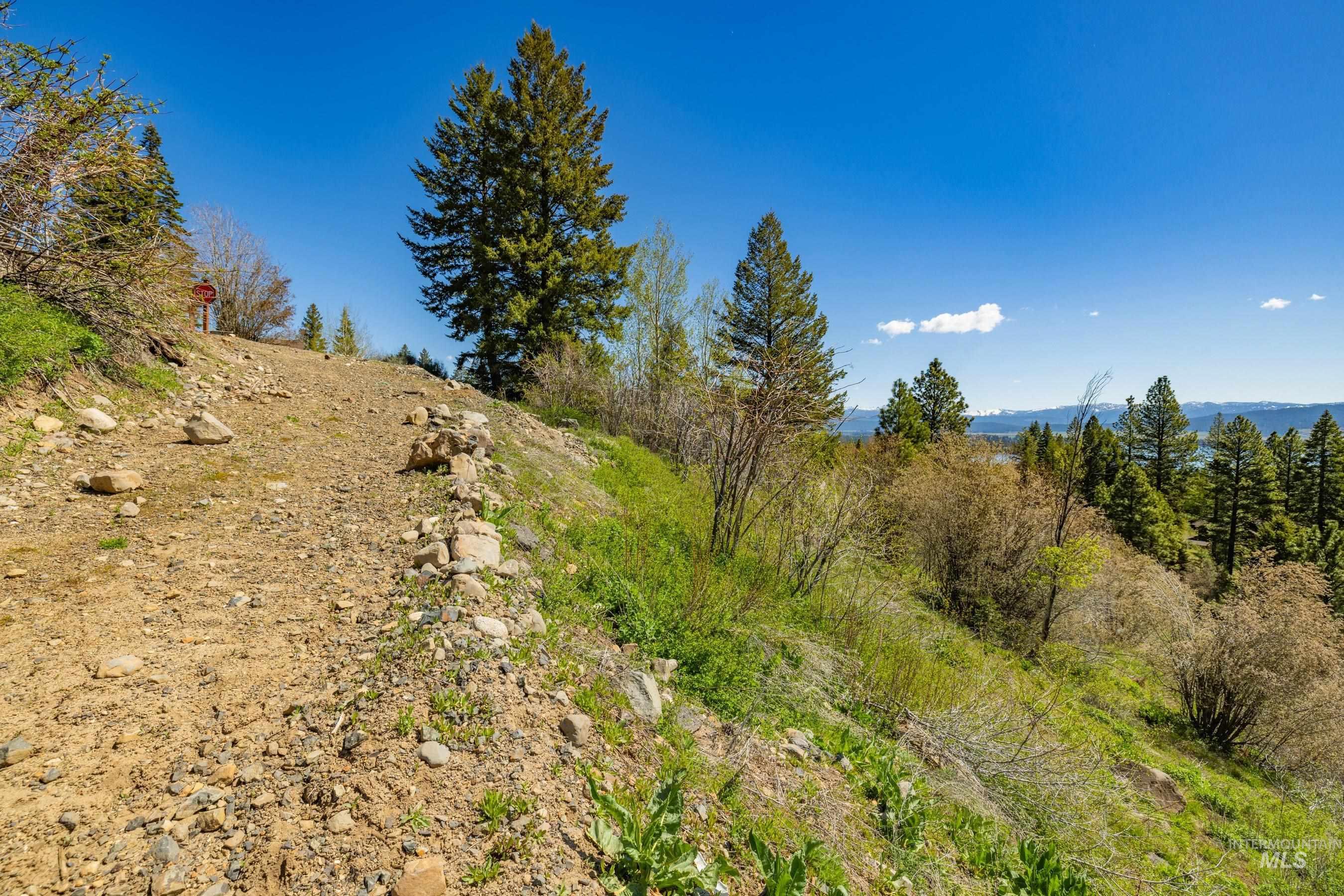 567 Whitewater Drive, Donnelly, Idaho 83615, Land For Sale, Price $699,000, 98986061