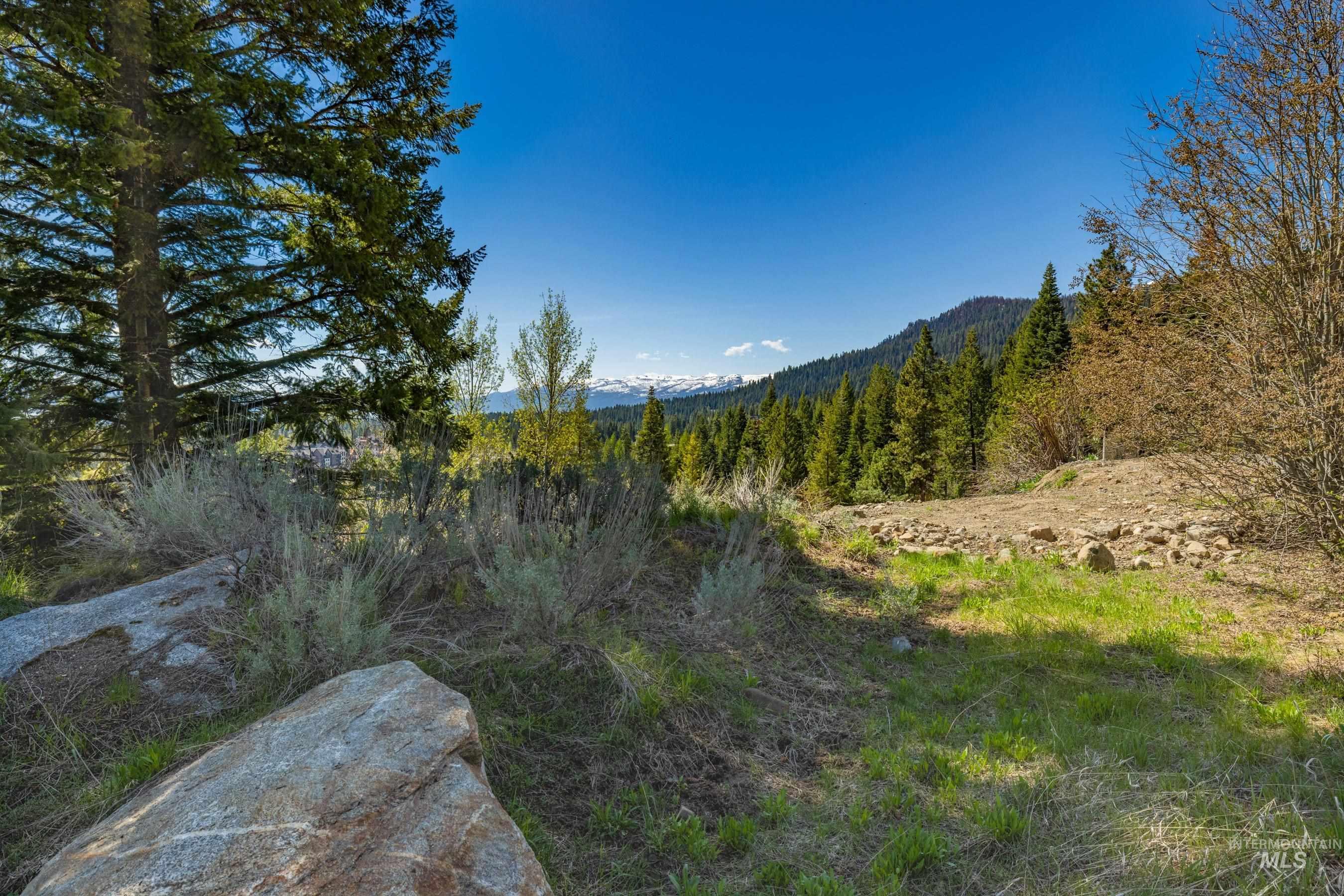 567 Whitewater Drive, Donnelly, Idaho 83615, Land For Sale, Price $699,000, 98986061