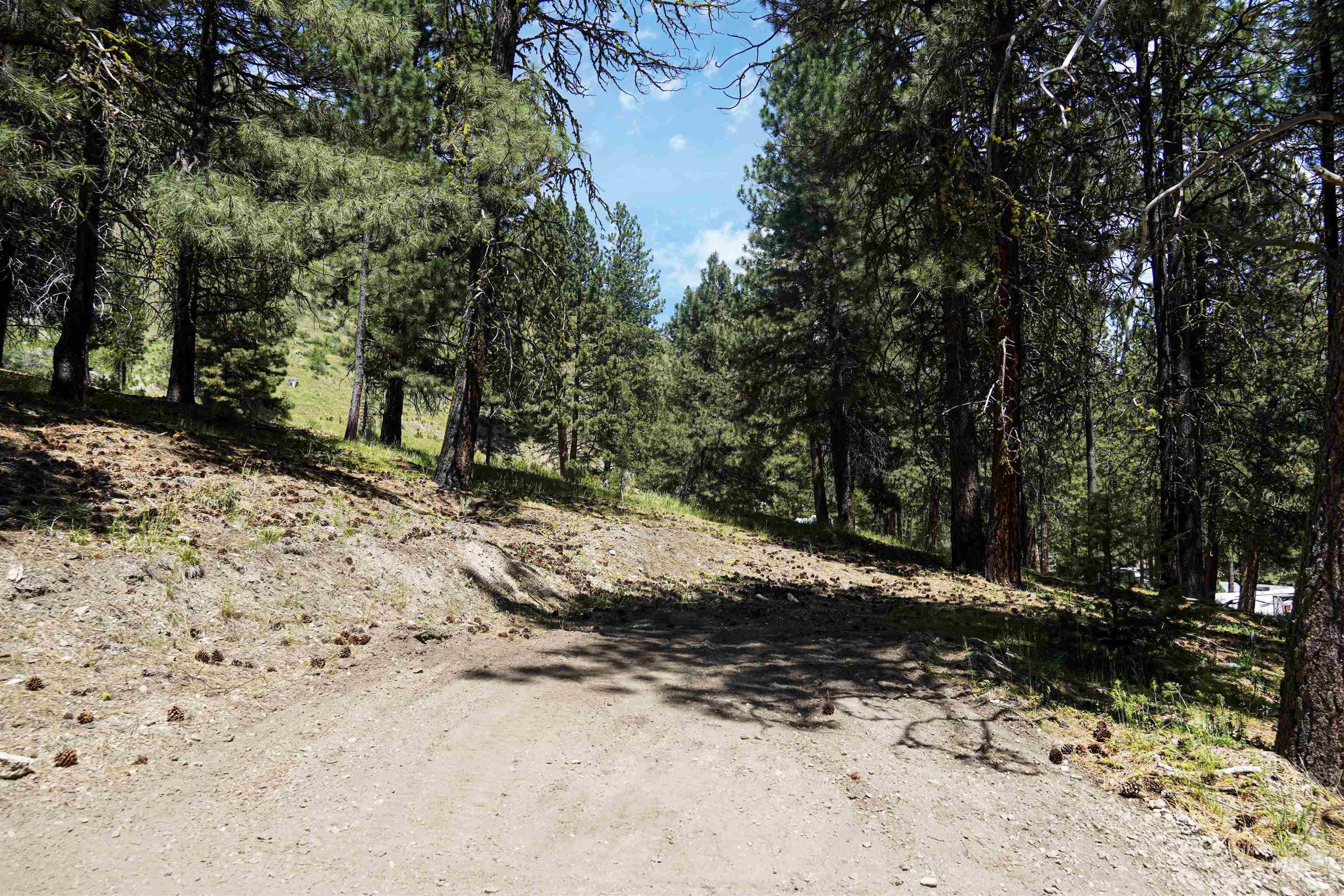 4395 N Pine Featherville Road, Featherville, Idaho 83647, Land For Sale, Price $699,900, 98986069