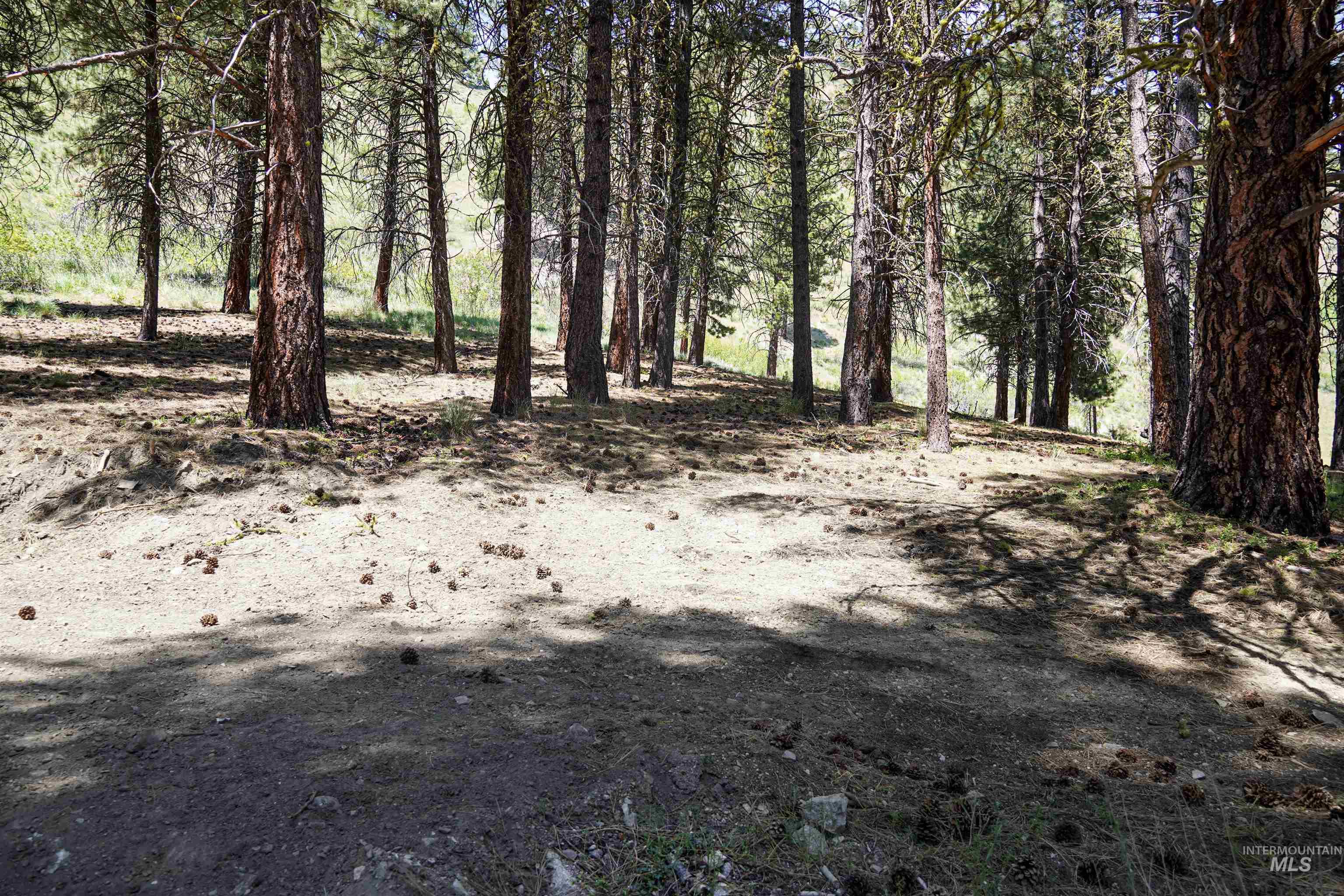 4395 N Pine Featherville Road, Featherville, Idaho 83647, Land For Sale, Price $699,900, 98986069