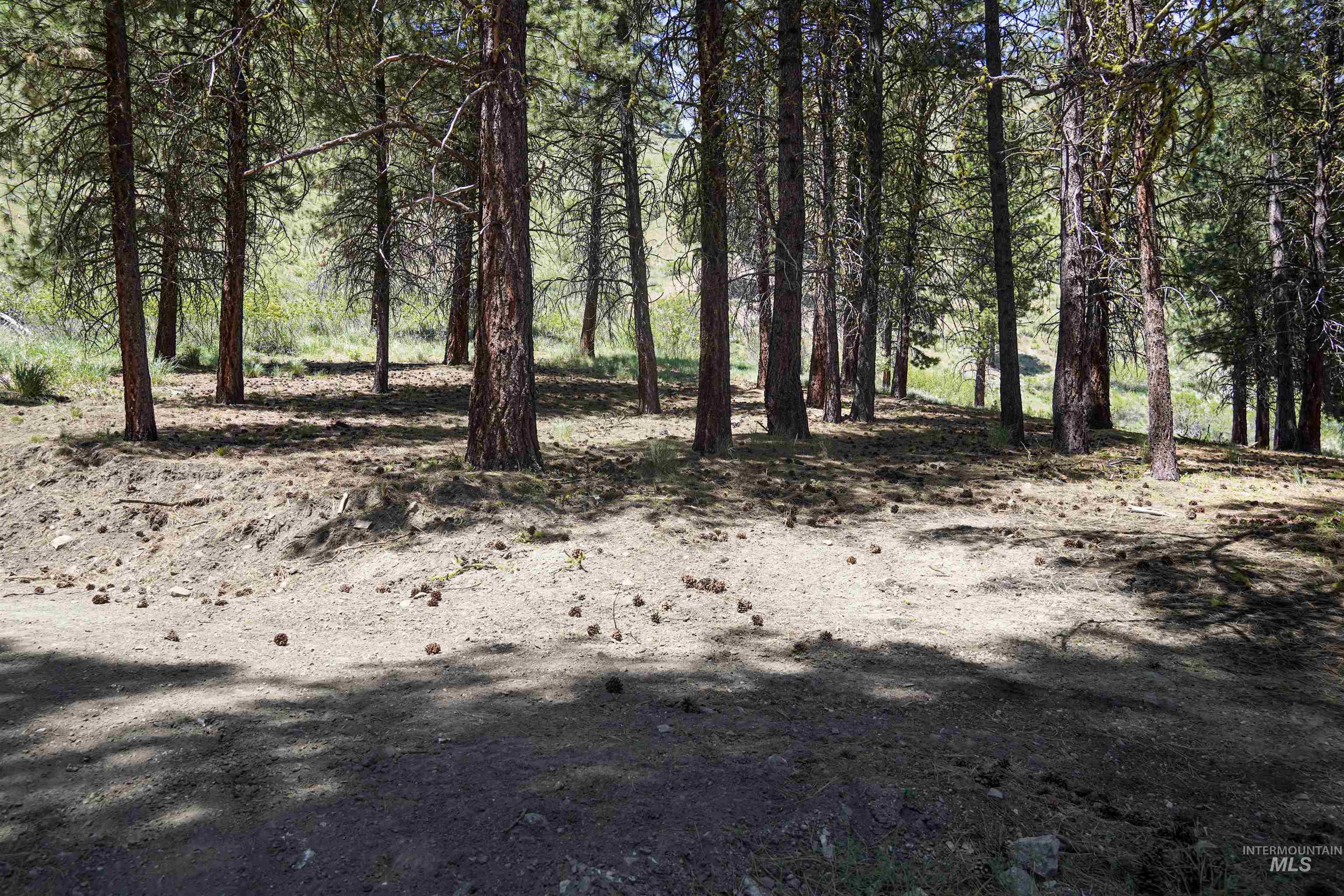 4395 N Pine Featherville Road, Featherville, Idaho 83647, Land For Sale, Price $699,900, 98986069