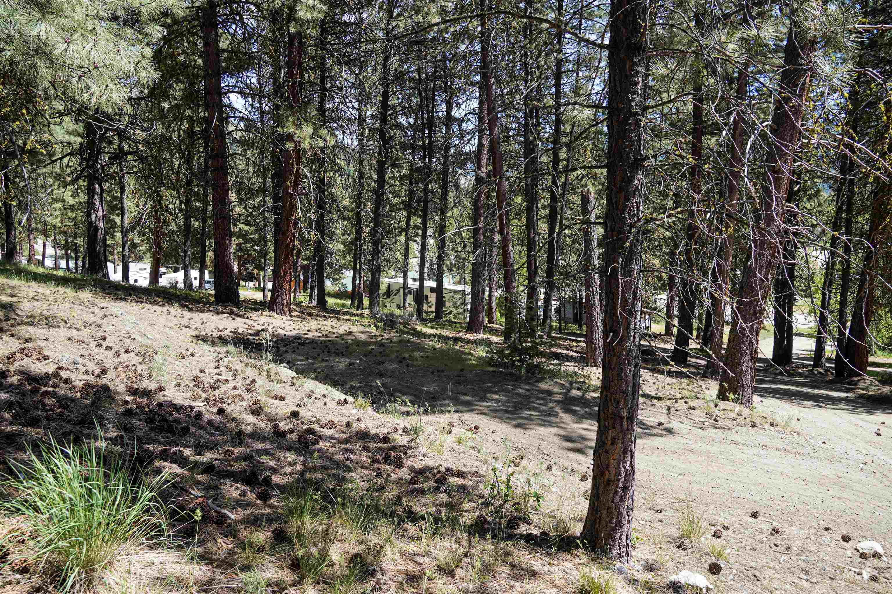 4395 N Pine Featherville Road, Featherville, Idaho 83647, Land For Sale, Price $699,900, 98986069