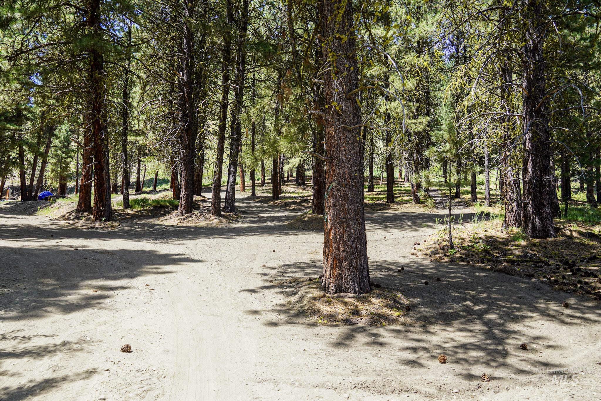 4395 N Pine Featherville Road, Featherville, Idaho 83647, Land For Sale, Price $699,900, 98986069