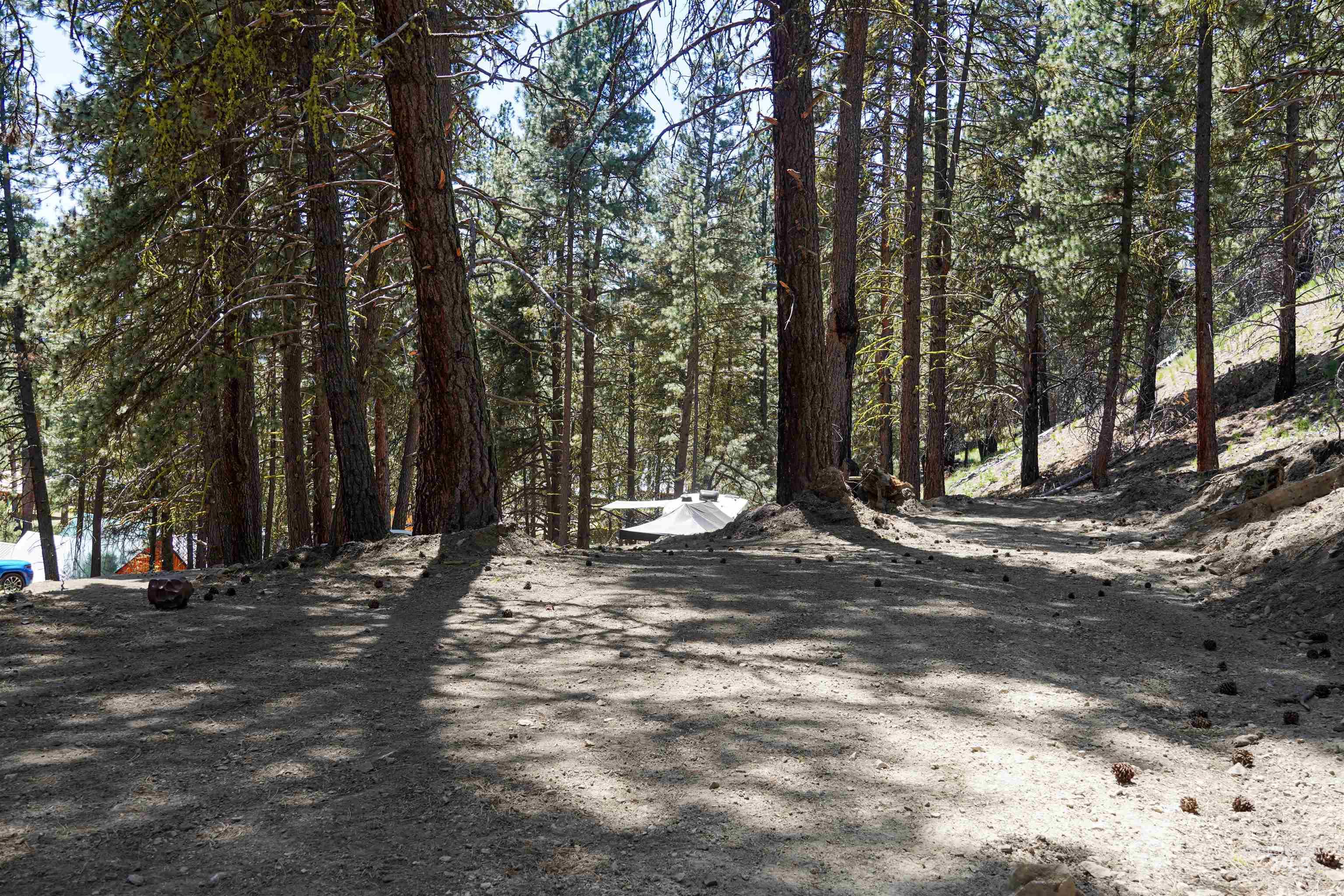 4395 N Pine Featherville Road, Featherville, Idaho 83647, Land For Sale, Price $699,900, 98986069