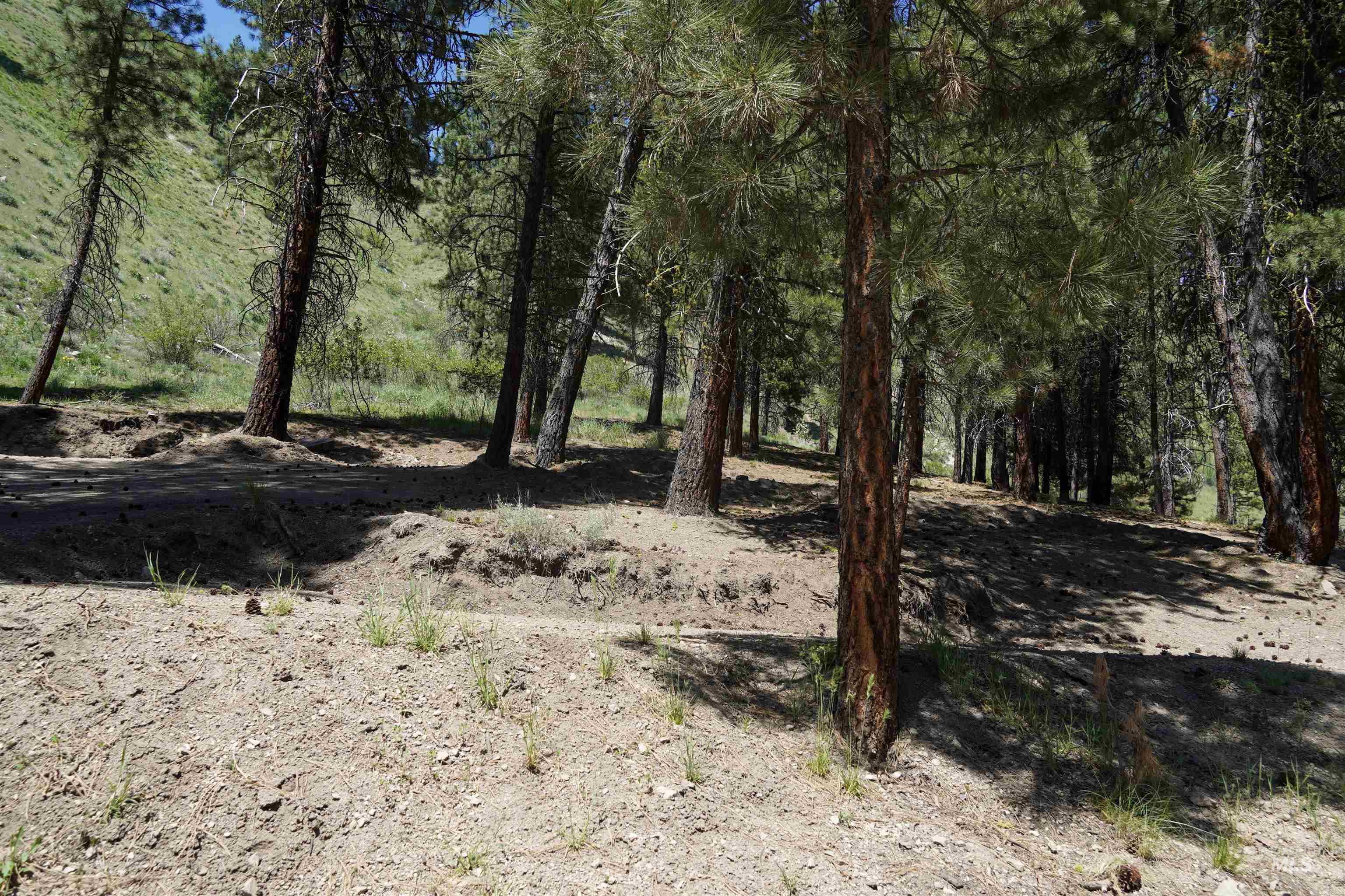 4395 N Pine Featherville Road, Featherville, Idaho 83647, Land For Sale, Price $699,900, 98986069