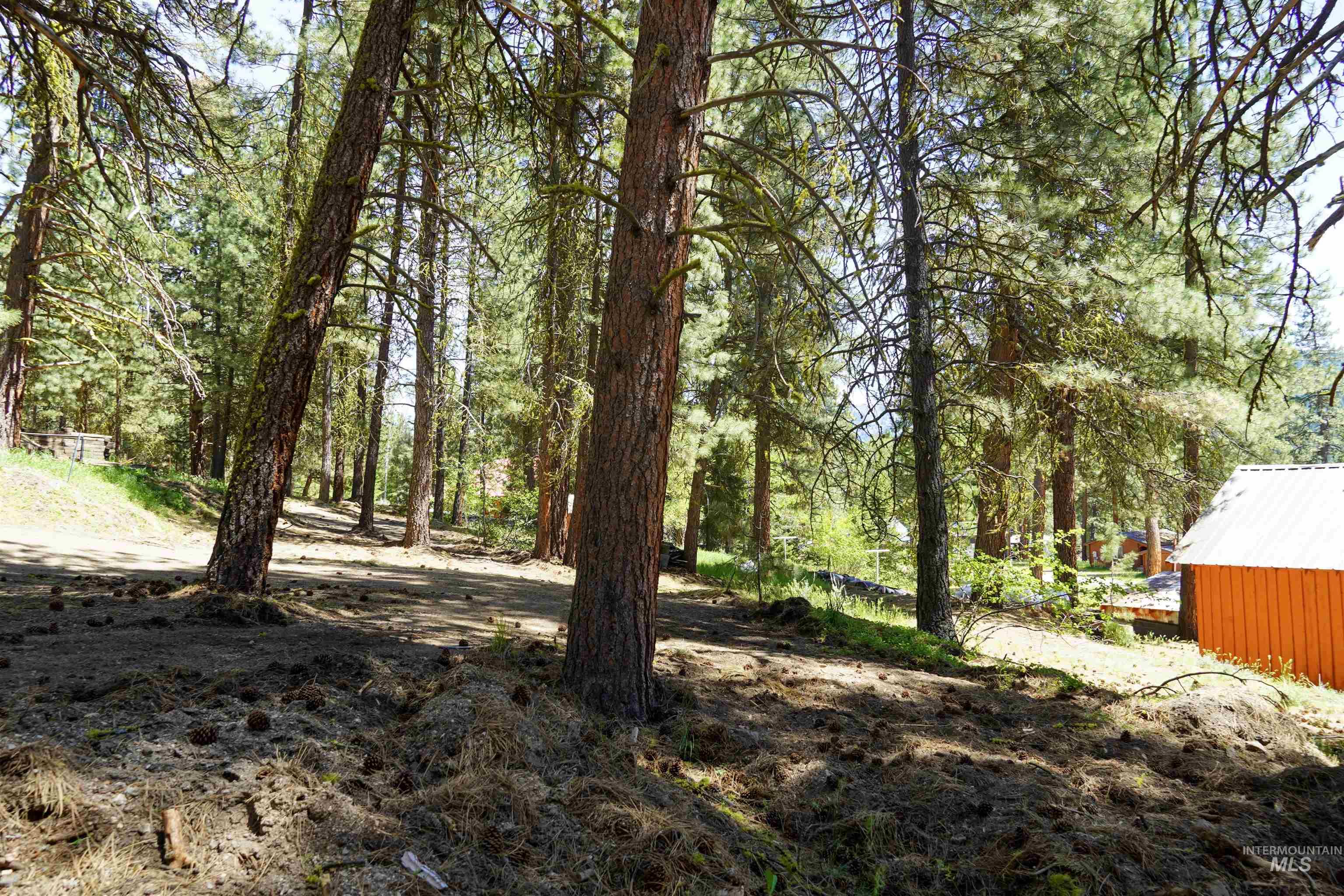 4395 N Pine Featherville Road, Featherville, Idaho 83647, Land For Sale, Price $699,900, 98986069
