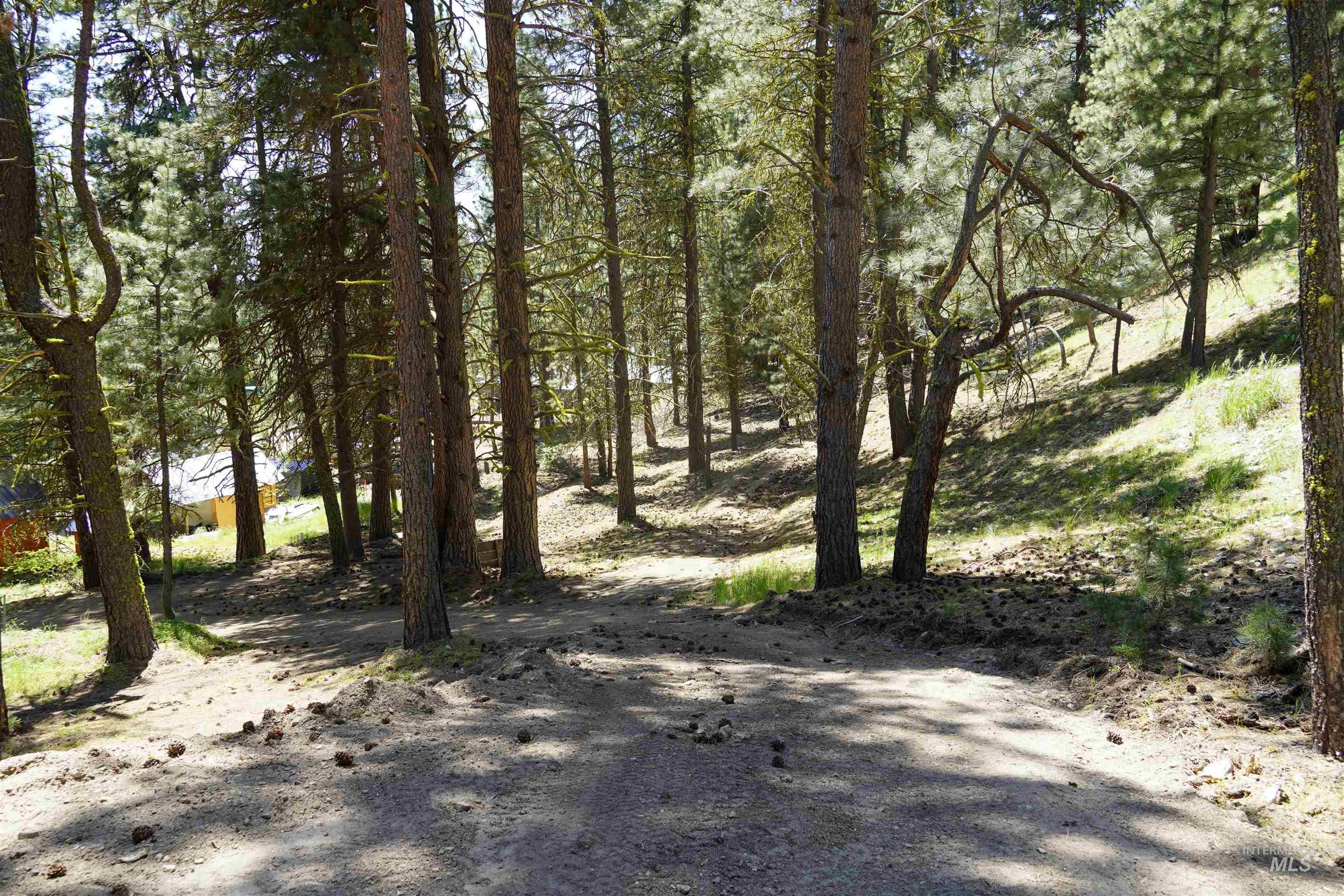 4395 N Pine Featherville Road, Featherville, Idaho 83647, Land For Sale, Price $699,900, 98986069