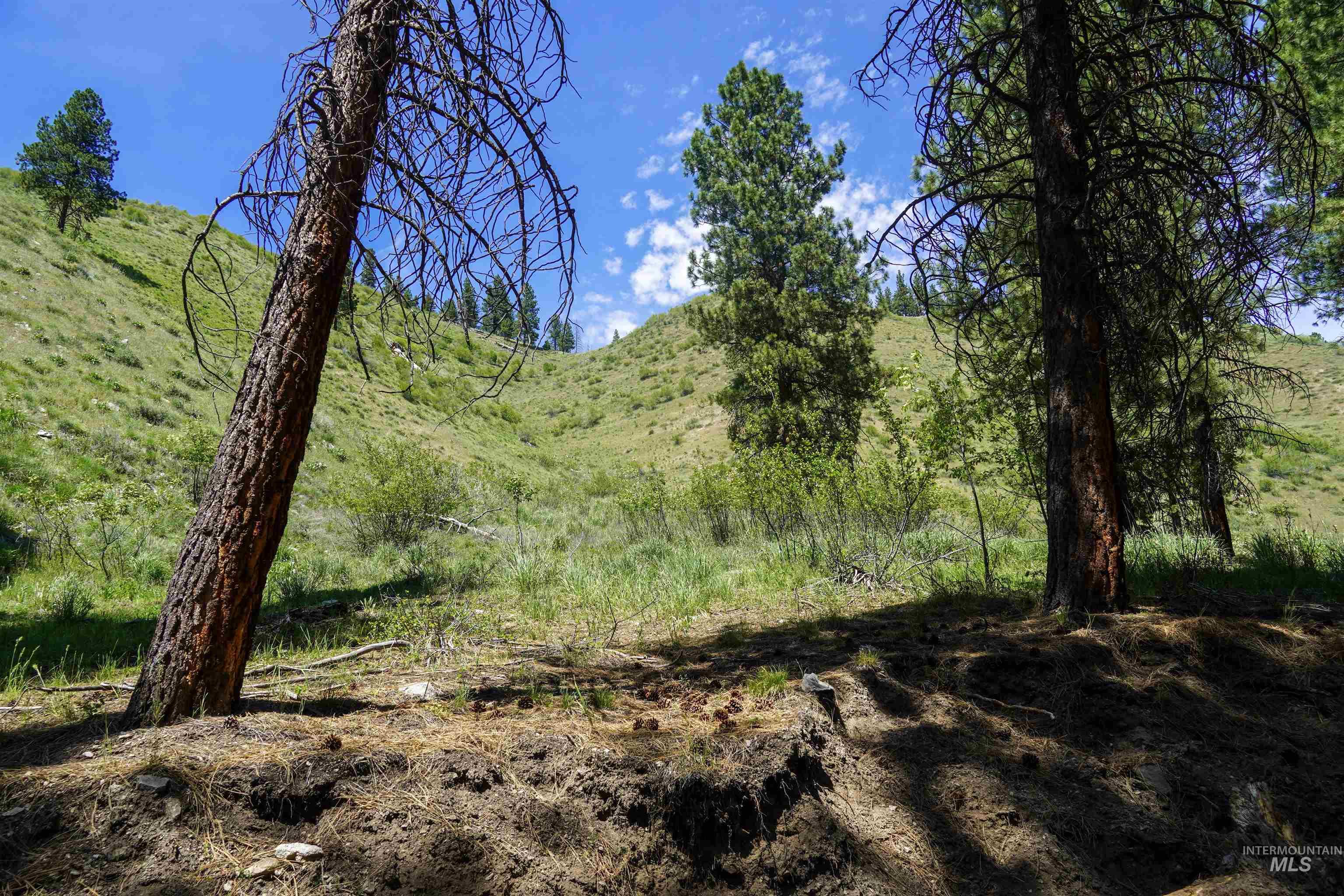 4395 N Pine Featherville Road, Featherville, Idaho 83647, Land For Sale, Price $699,900, 98986069