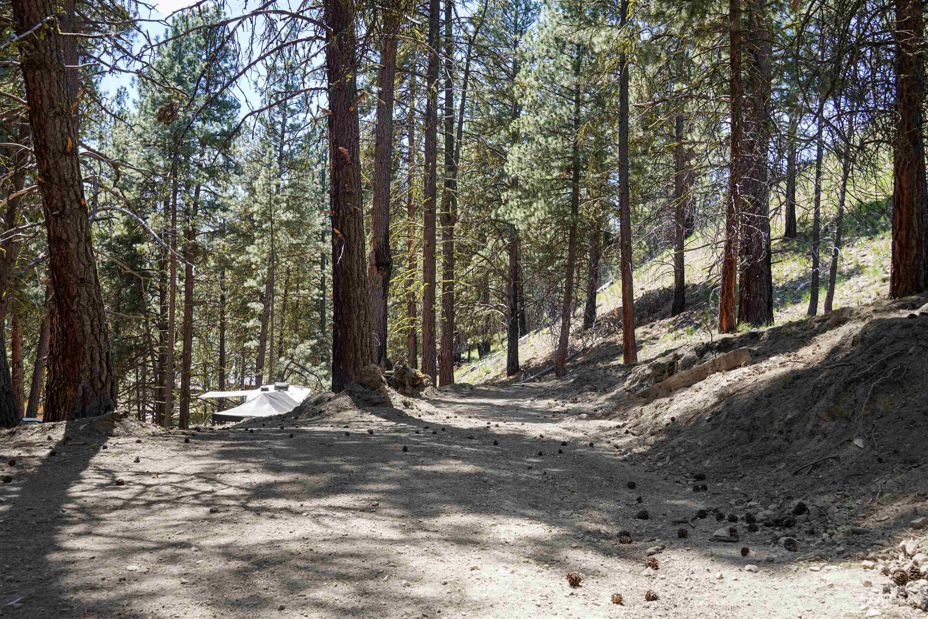 4395 N Pine Featherville Road, Featherville, Idaho 83647, Land For Sale, Price $699,900, 98986069