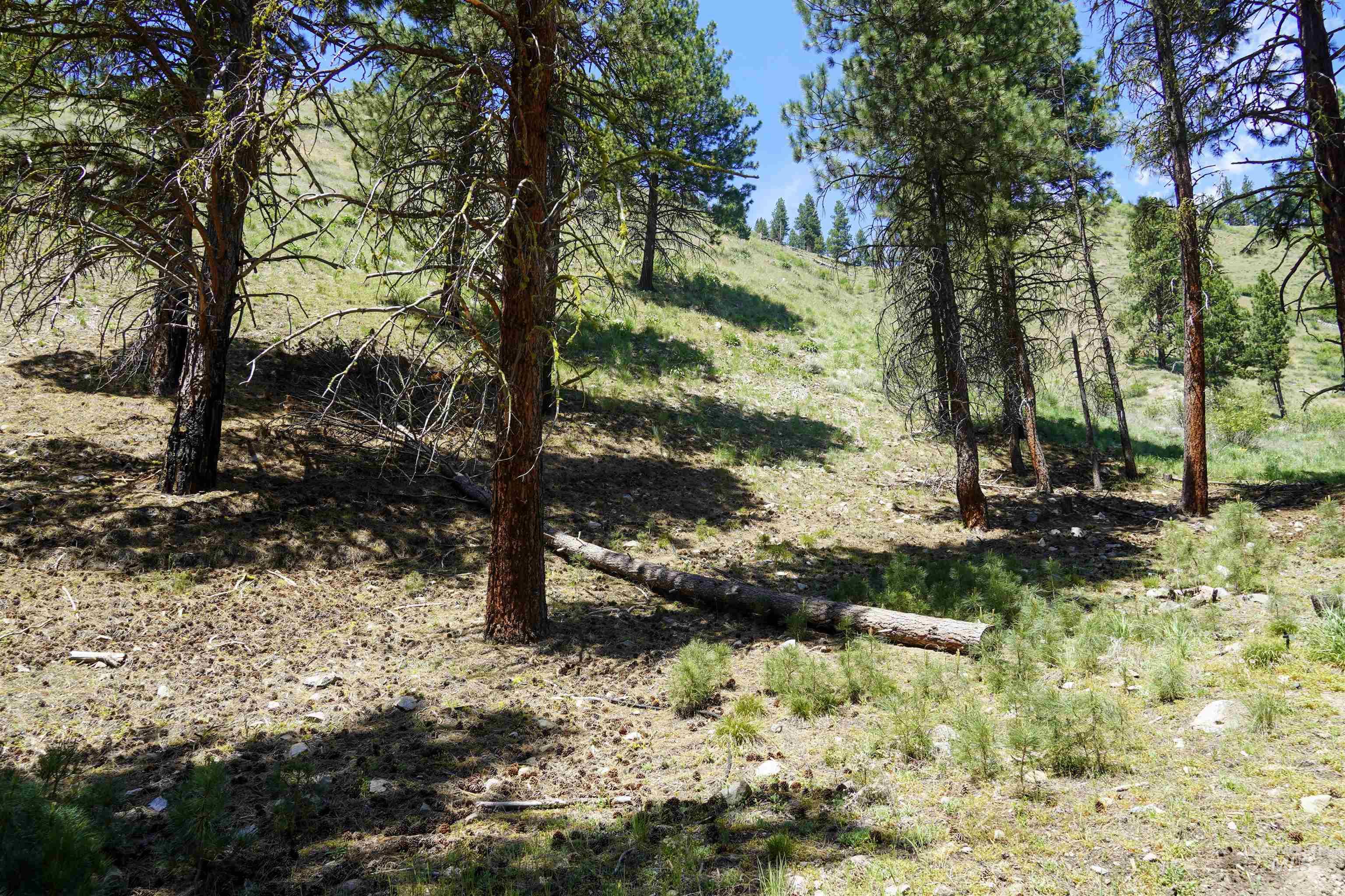 4395 N Pine Featherville Road, Featherville, Idaho 83647, Land For Sale, Price $699,900, 98986069