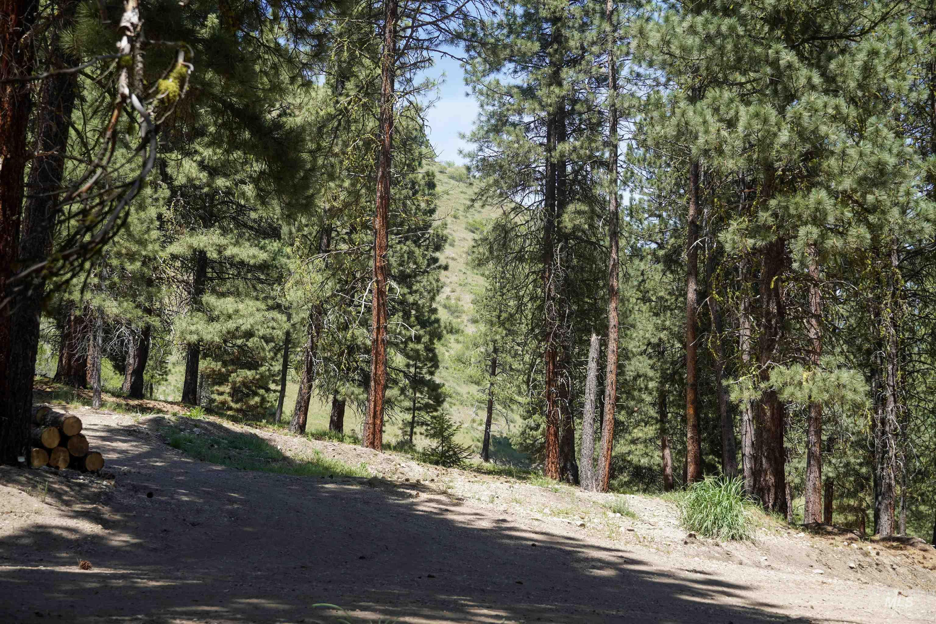 4395 N Pine Featherville Road, Featherville, Idaho 83647, Land For Sale, Price $699,900, 98986069