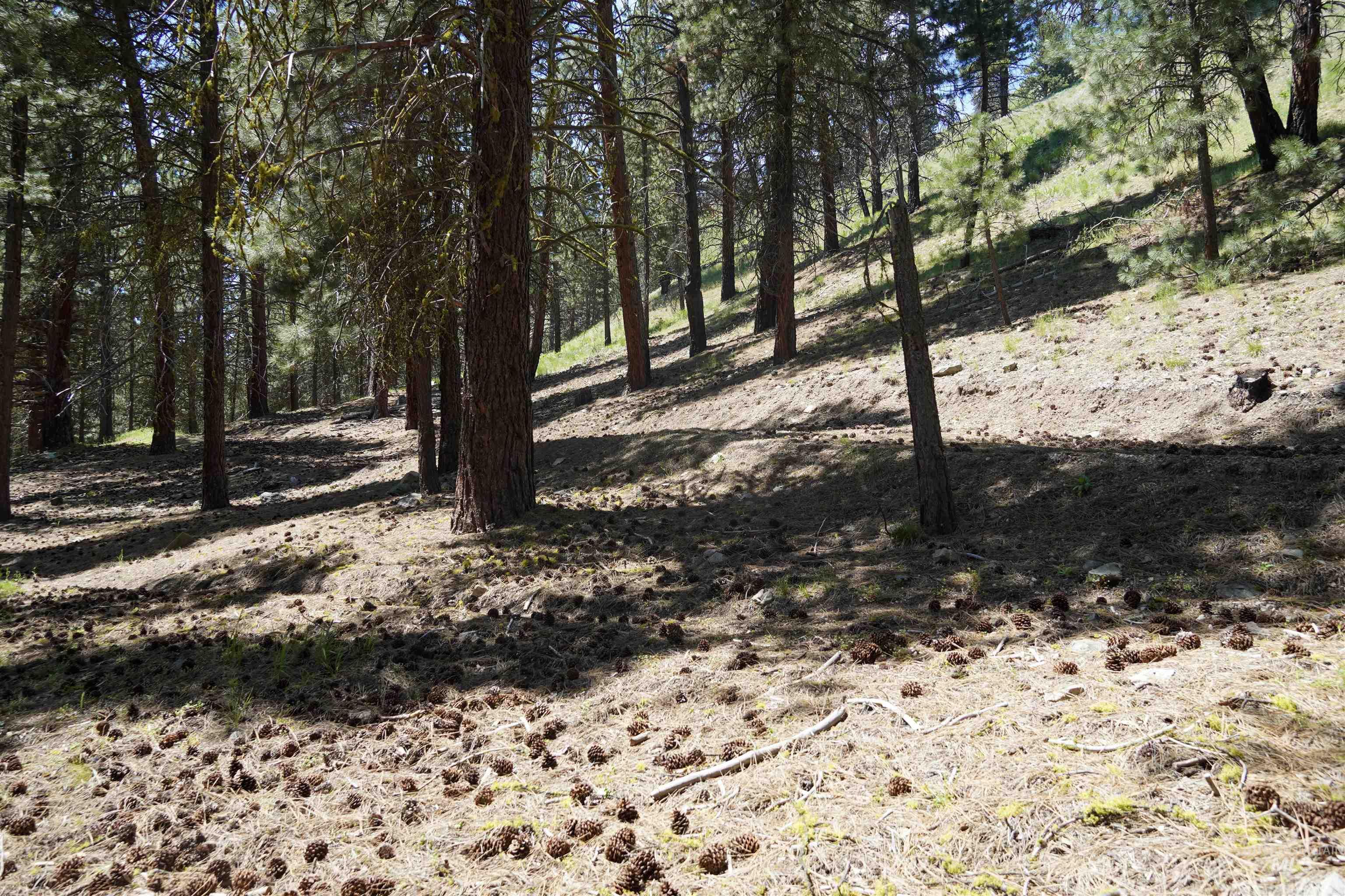 4395 N Pine Featherville Road, Featherville, Idaho 83647, Land For Sale, Price $699,900, 98986069