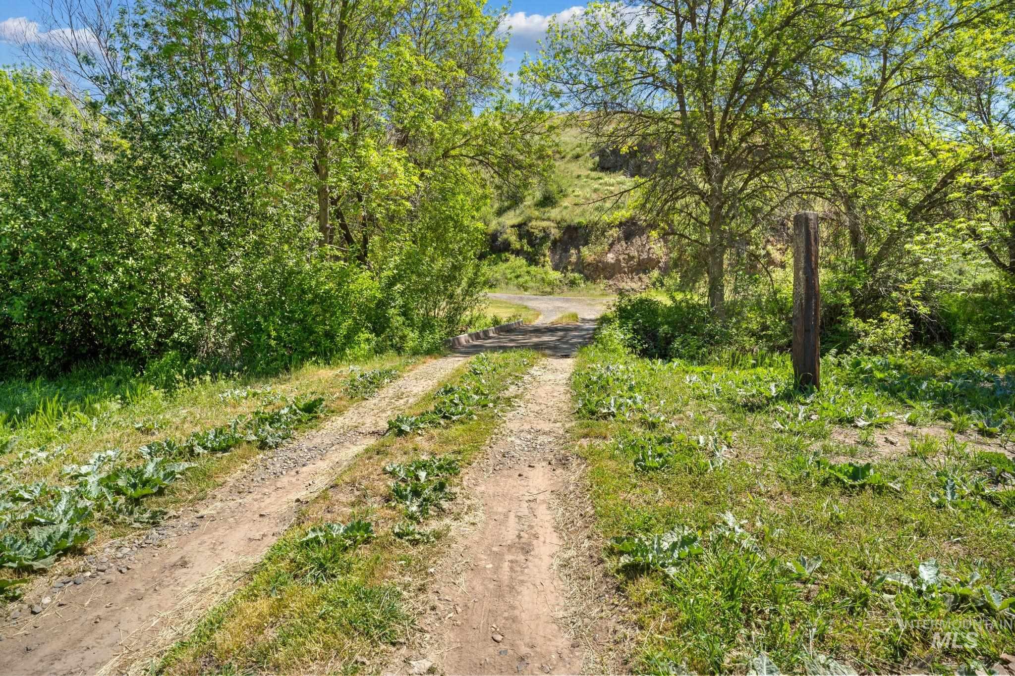 60 Pataha Canyon Lane, Pomeroy, Washington 99347, 4 Bedrooms, 3 Bathrooms, Residential For Sale, Price $450,000, 98986089