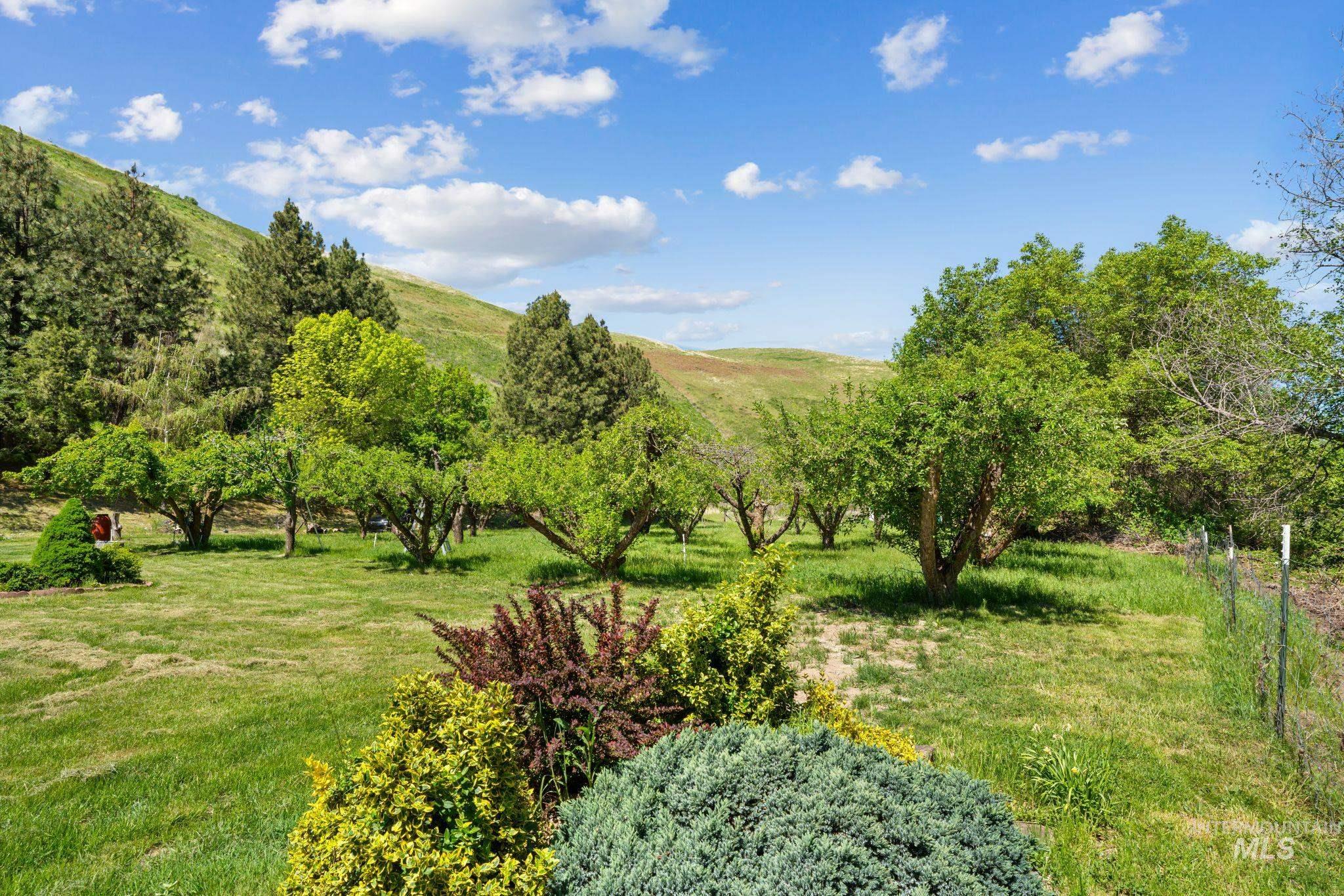 60 Pataha Canyon Lane, Pomeroy, Washington 99347, 4 Bedrooms, 3 Bathrooms, Residential For Sale, Price $450,000, 98986089
