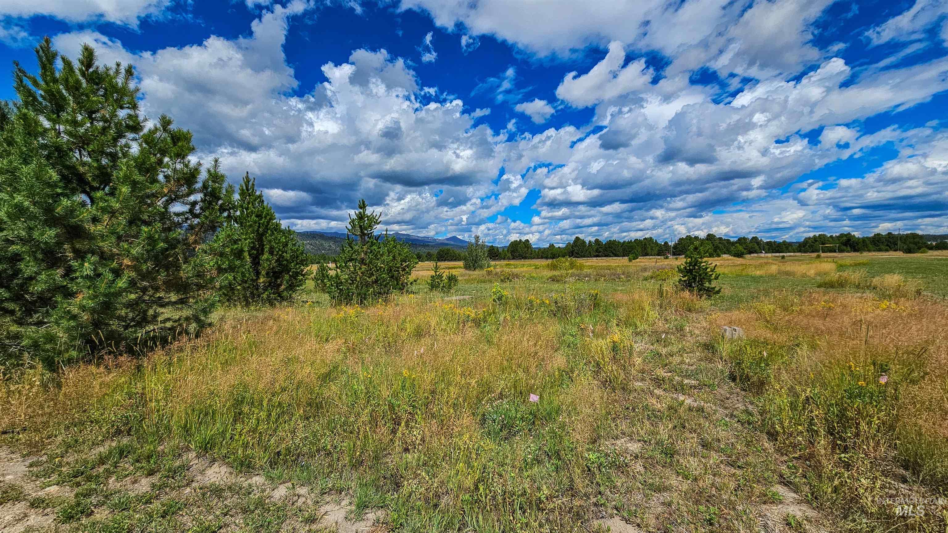101 Sixty Ln, Cascade, Idaho 83611, Land For Sale, Price $389,000, 98986093