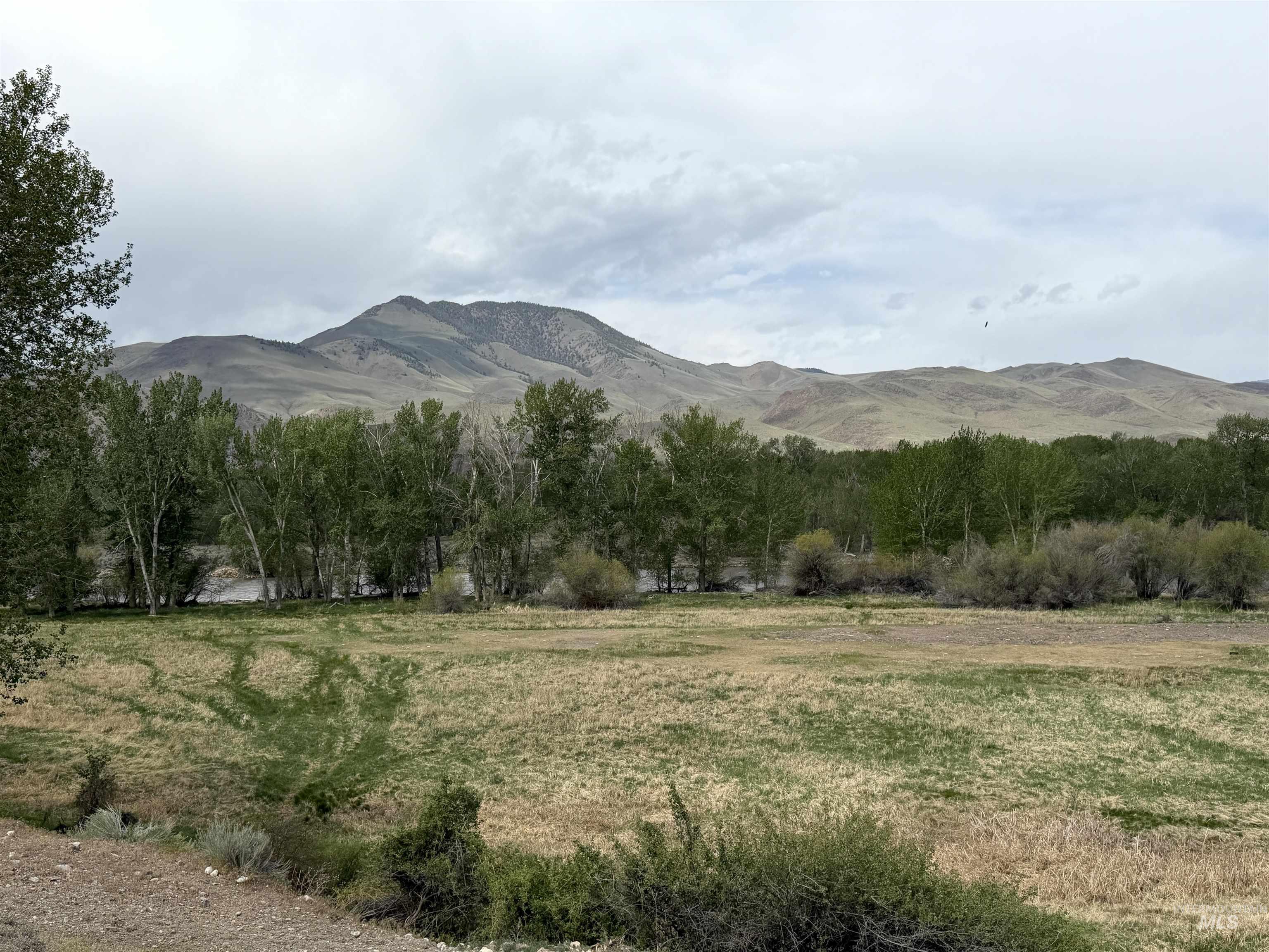 504 Lanier, Challis, Idaho 83226, Land For Sale, Price $1,850,000, 98986097