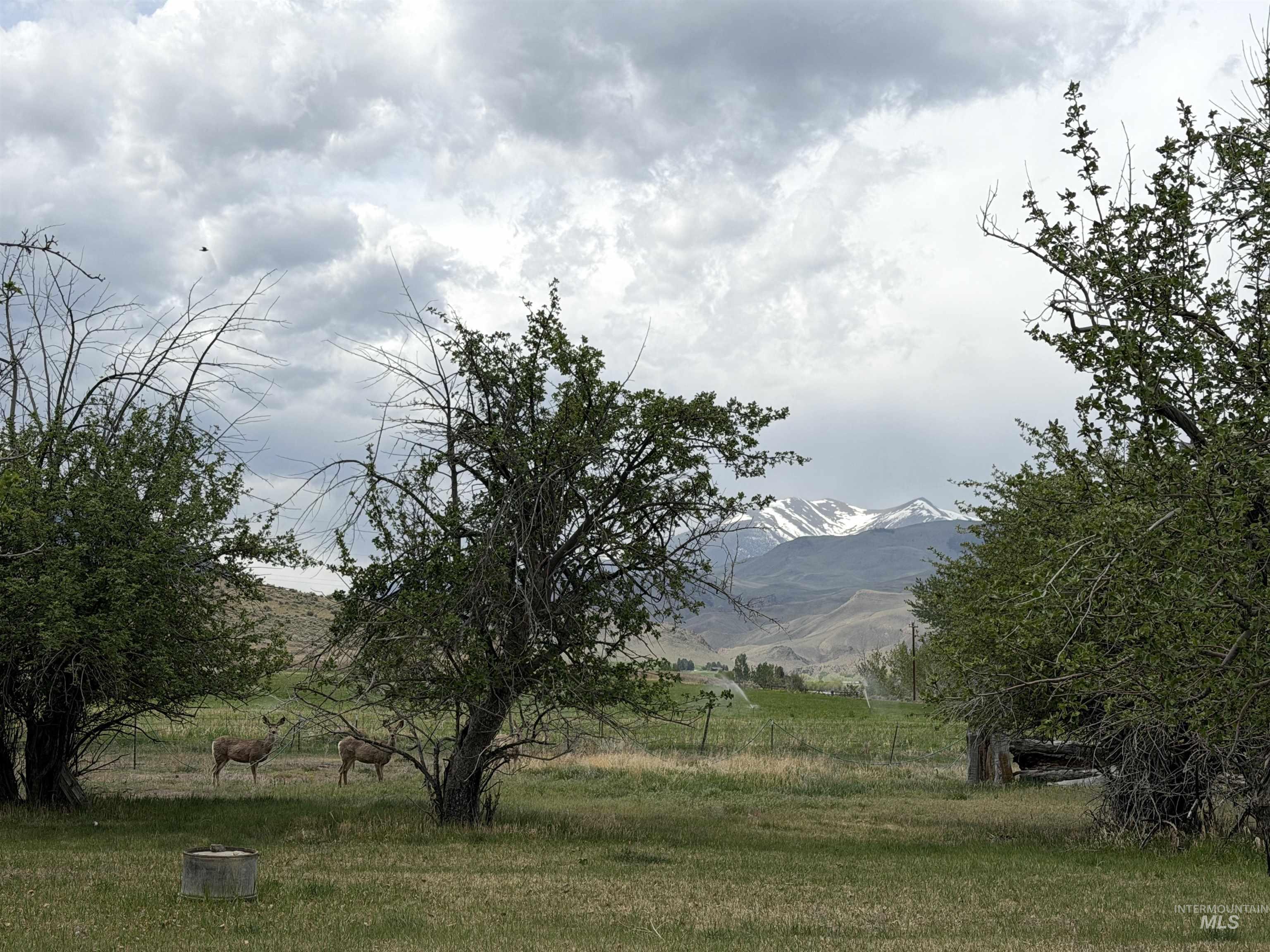 504 Lanier, Challis, Idaho 83226, Land For Sale, Price $1,850,000, 98986097