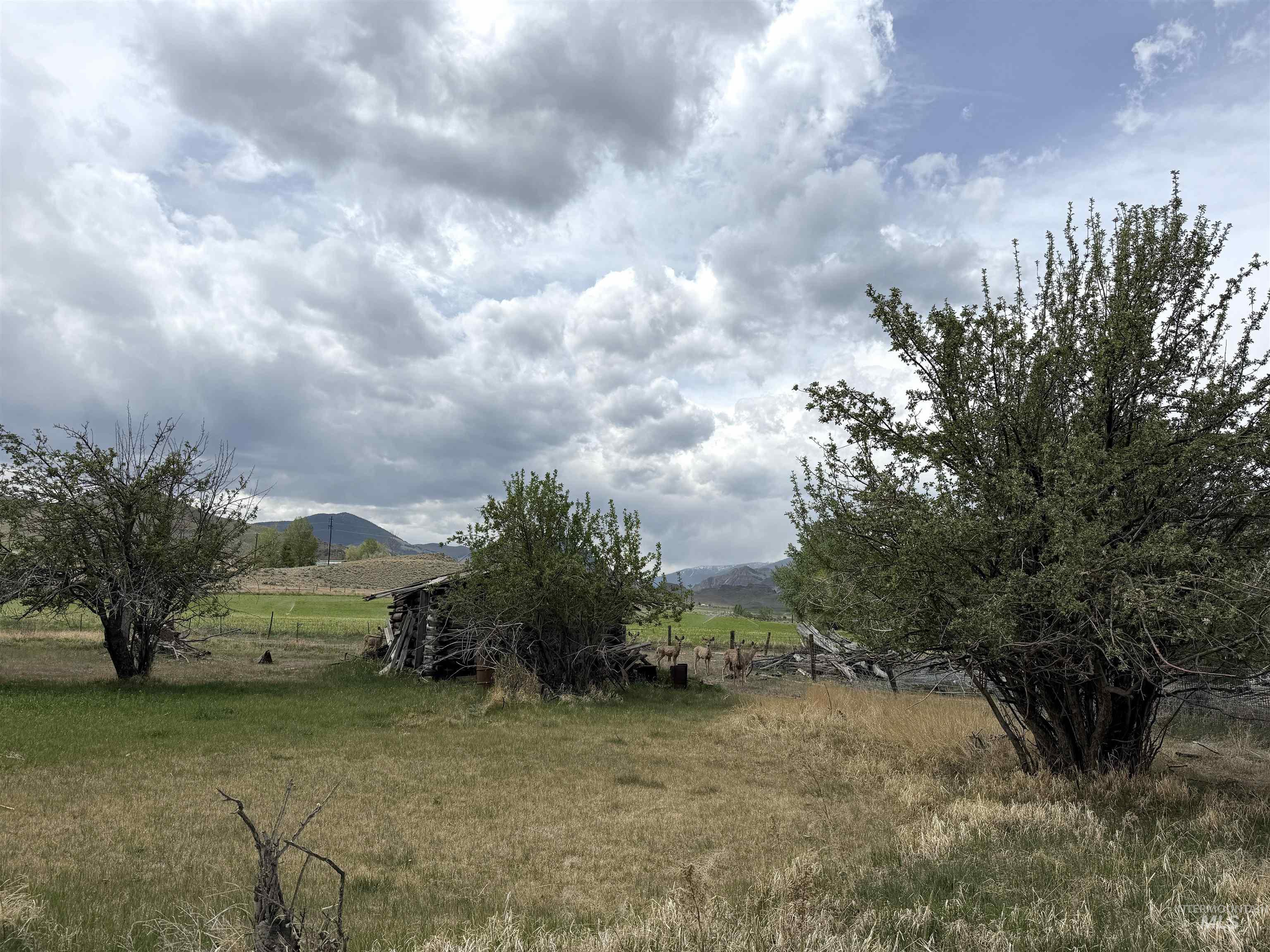 504 Lanier, Challis, Idaho 83226, Land For Sale, Price $1,850,000, 98986097