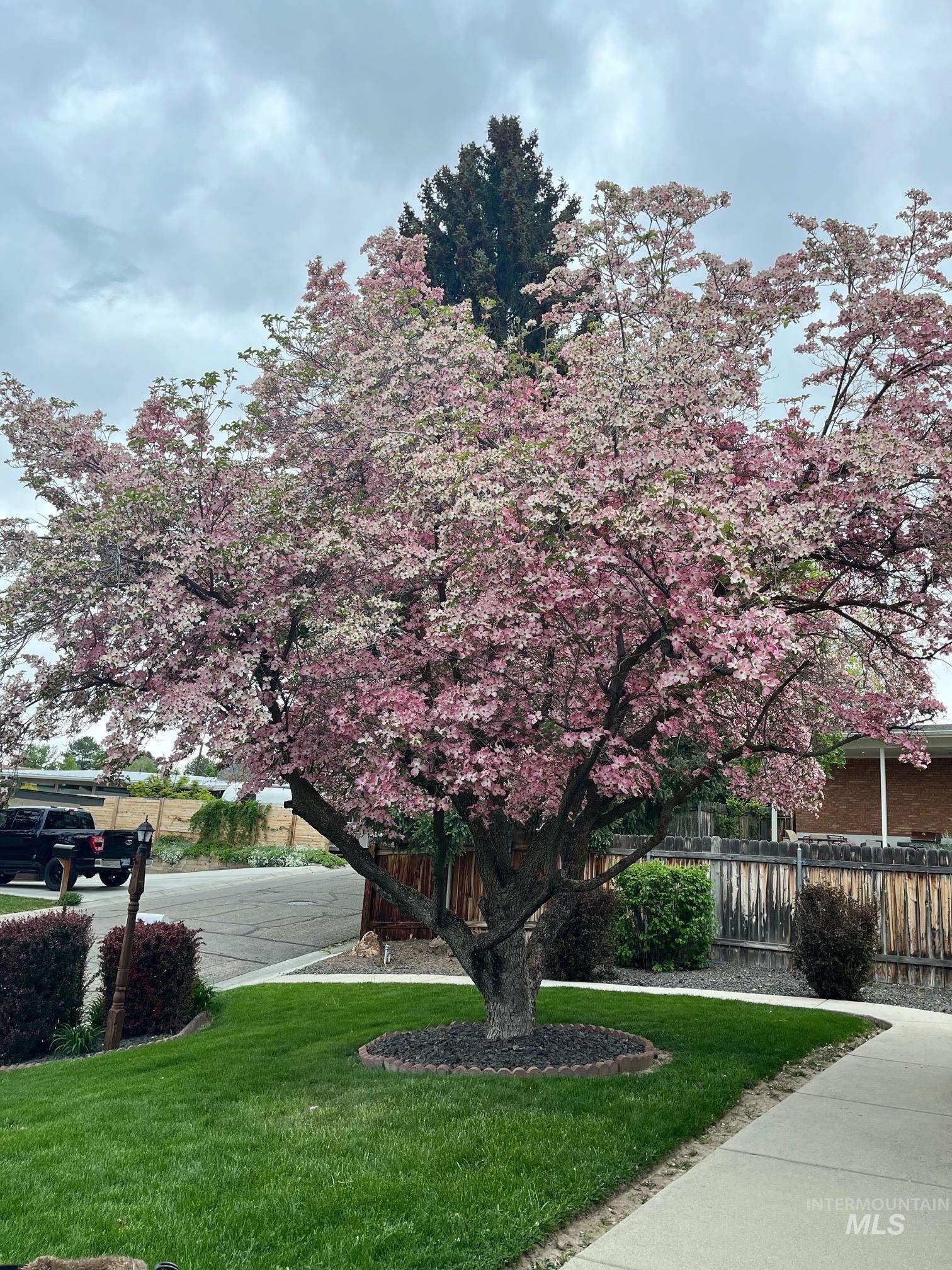 3100 N Ridgeway, Boise, Idaho 83702, 3 Bedrooms, 2 Bathrooms, Residential For Sale, Price $900,000, 98986162